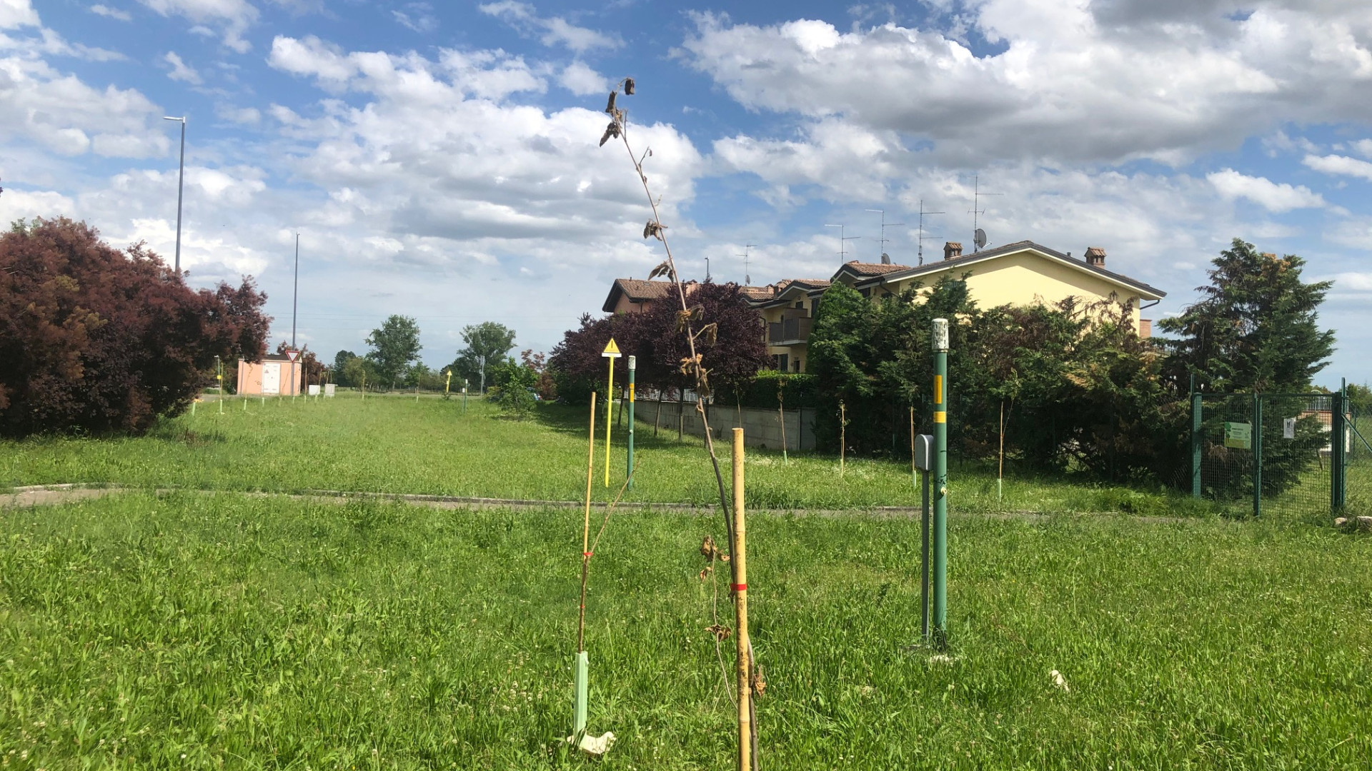 La Verza, i residenti: "Mai innaffiate le nuove piante e pozzetti rotti nel prato"