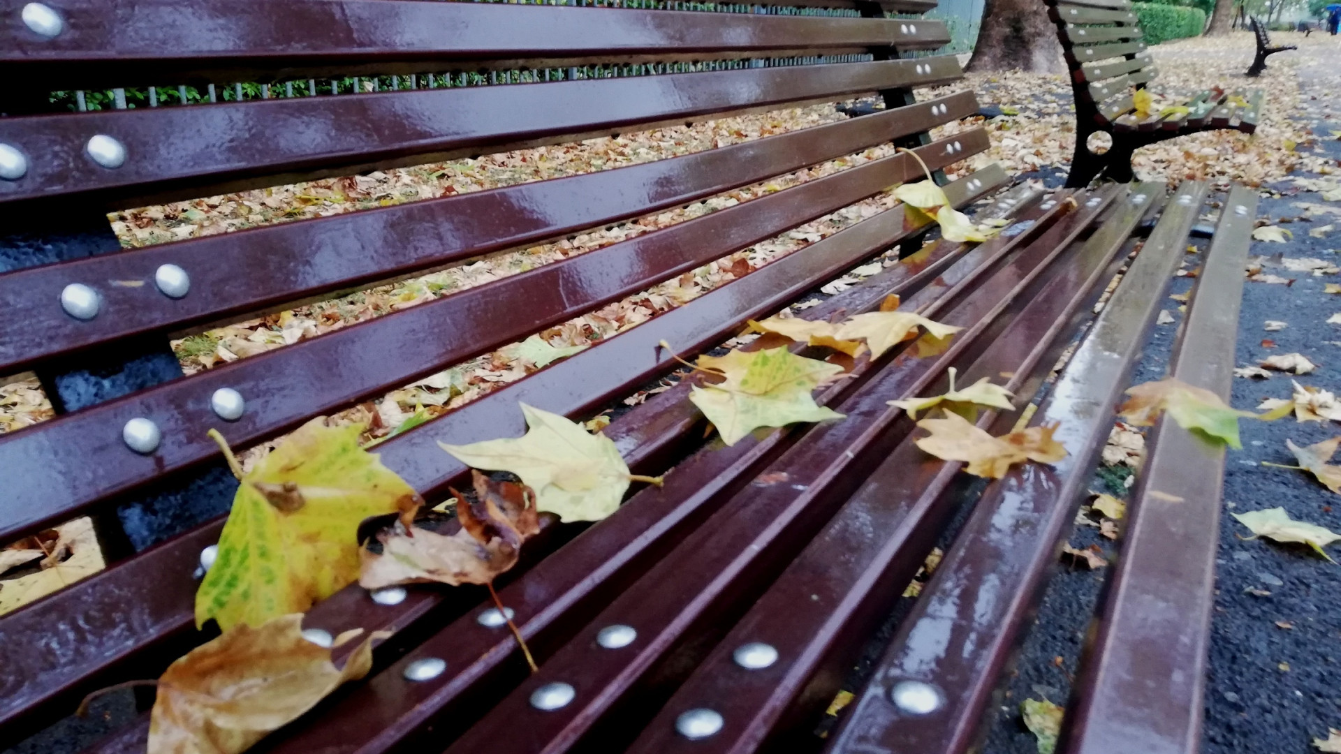 Oggi nella nostra provincia giornata autunnale e allerta per violenti temporali