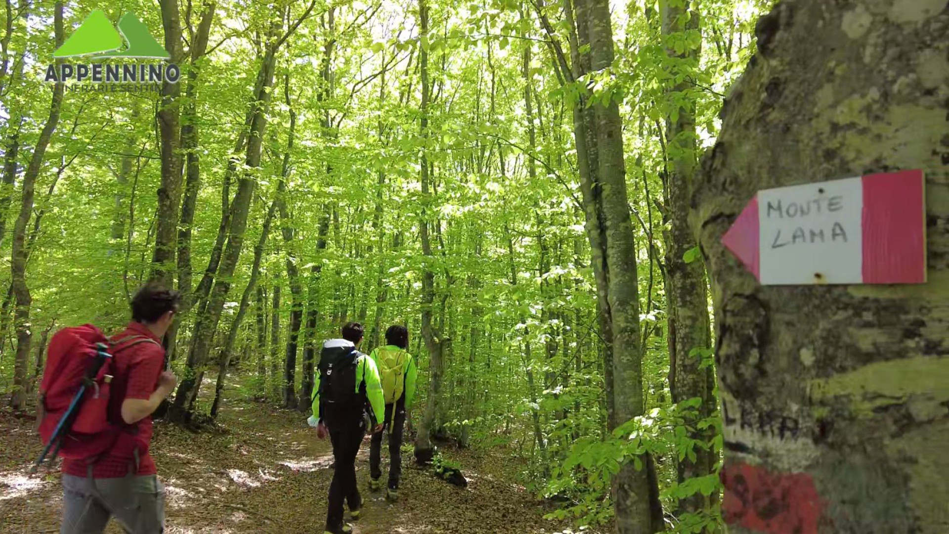 “Appennino, itinerari e sentieri”: il format di Visit Emilia in onda su Telelibertà