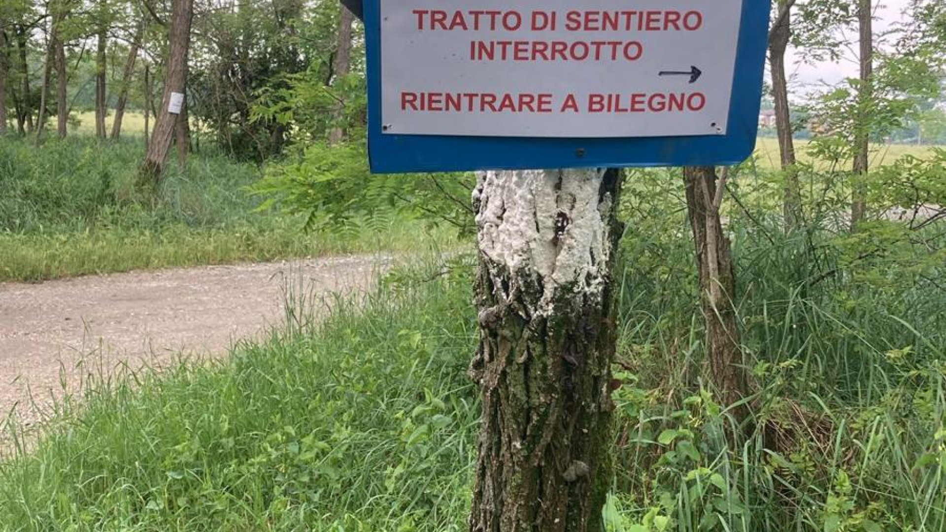 Ancora disagi causati dalle piogge: interrotti duecento metri del Sentiero del Tidone