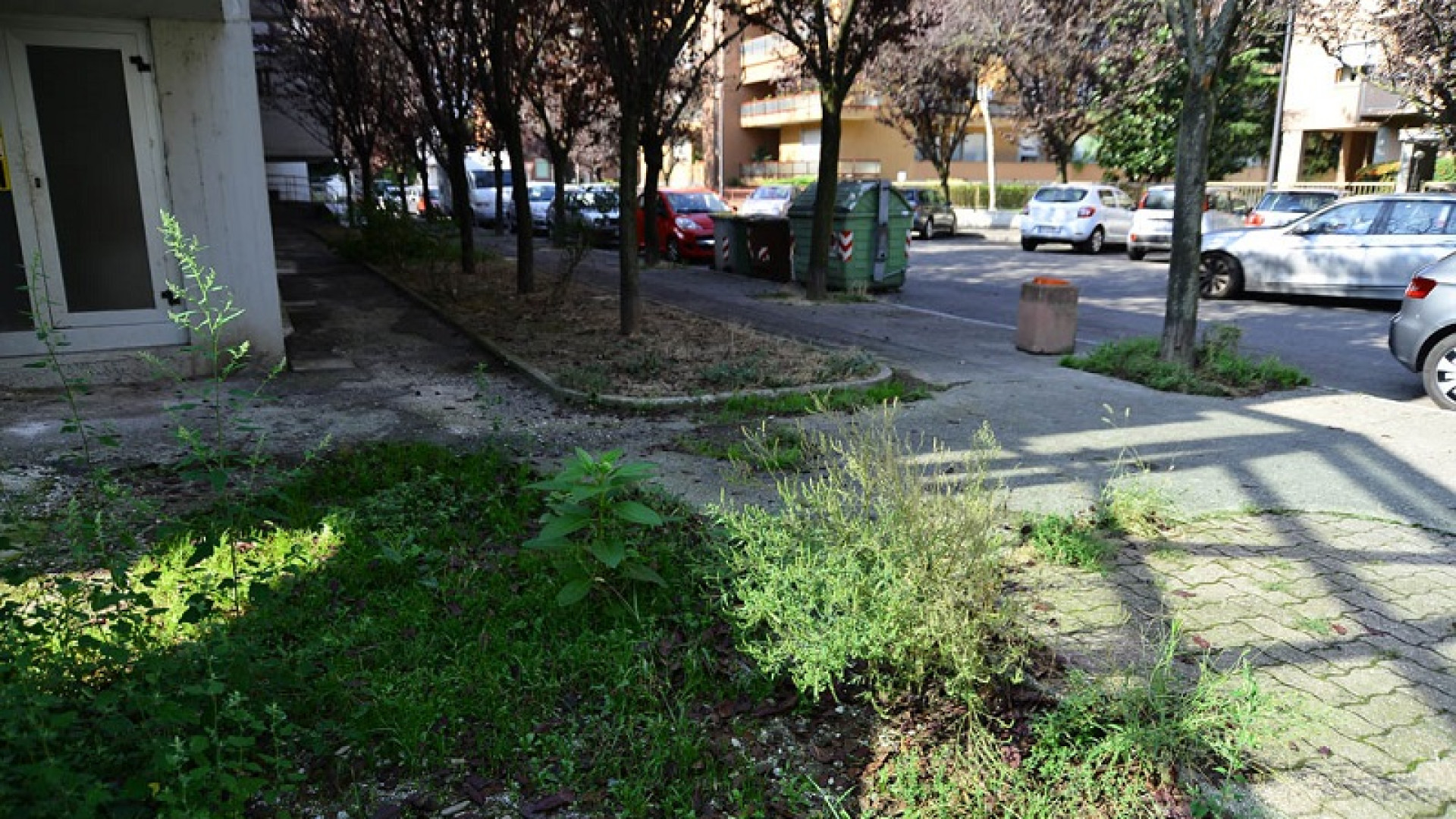 Via Casella, slalom tra buche ed erbacce. Residenti infuriati