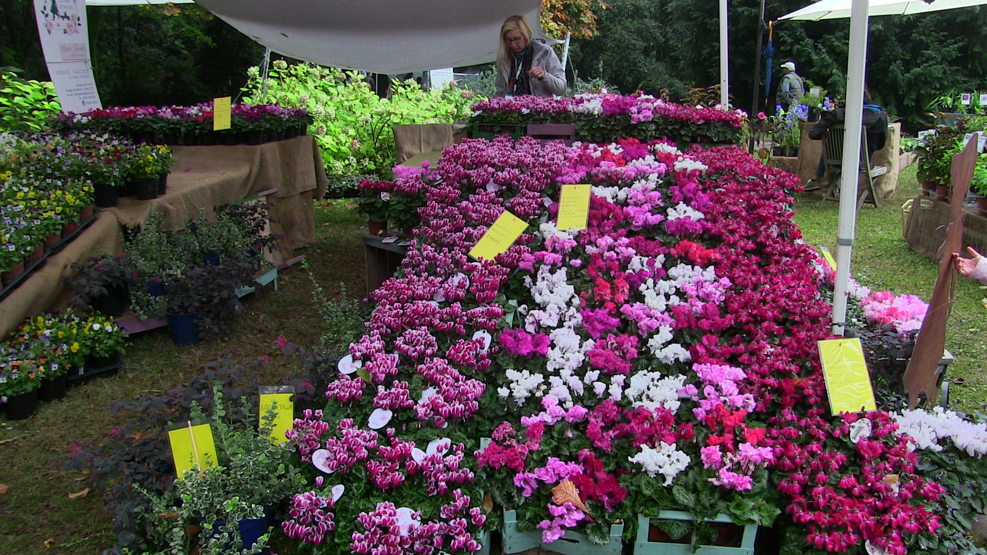 Grazzano Visconti invasa dai fiori: vivaisti e artigiani da tutto il mondo