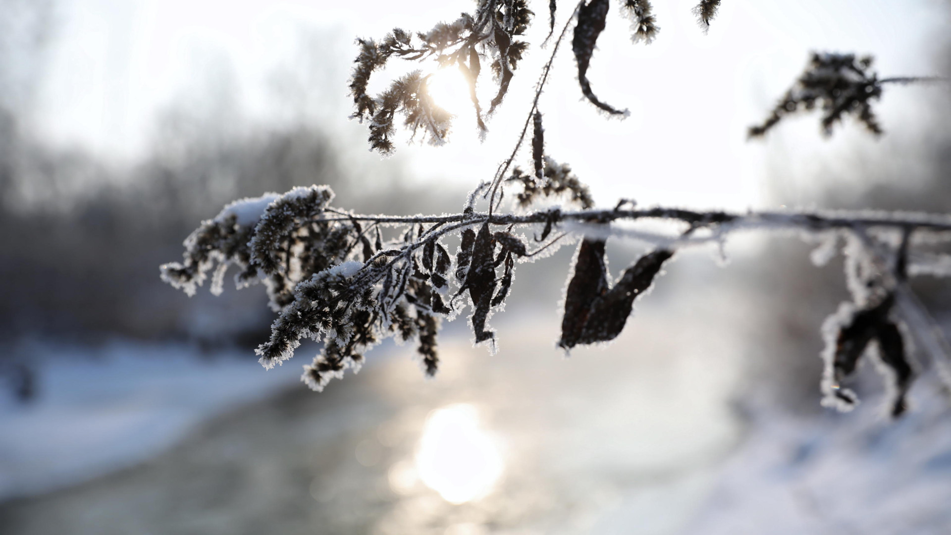 Domani arriva il grande freddo: allerta meteo per temperature estreme