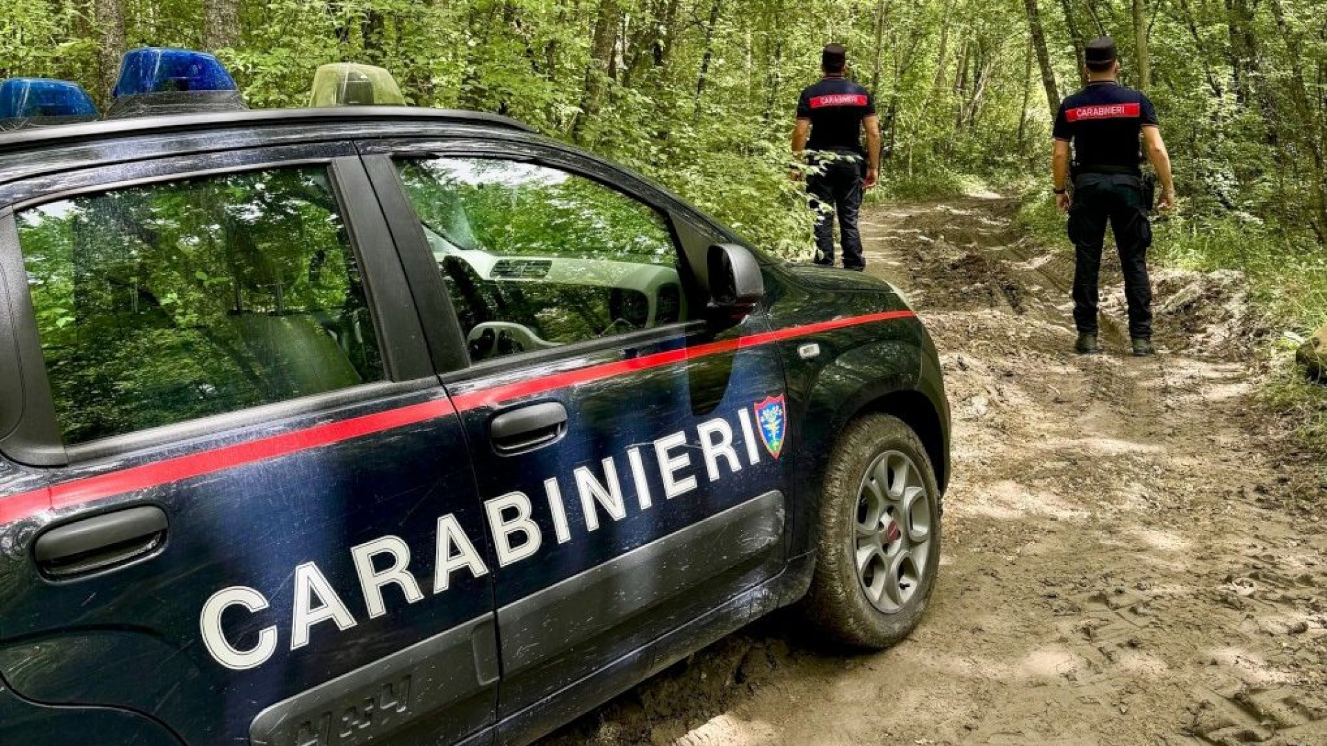 Disperso nei boschi mentre cerca funghi, anziano salvato dai carabinieri forestali