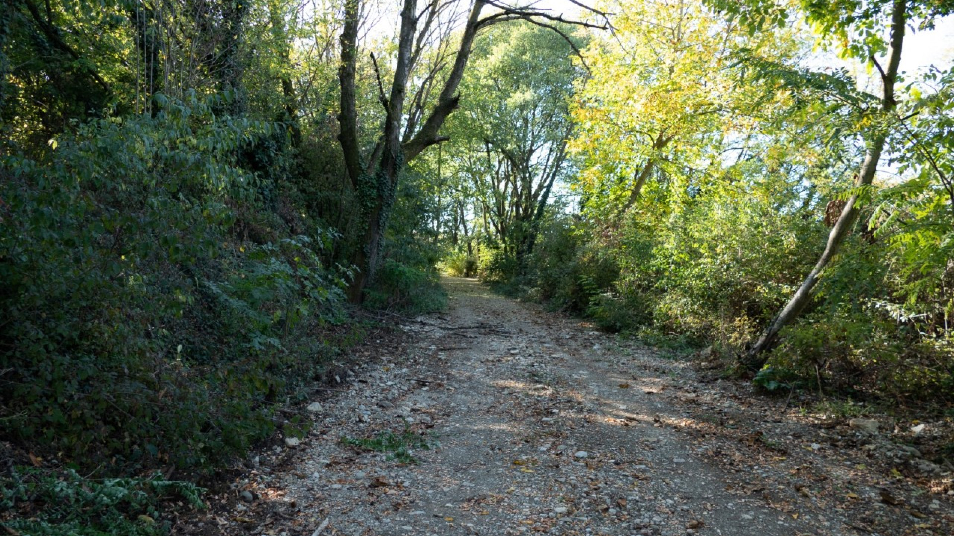 Agazzano, l'ex polveriera di Cantone è ora un percorso naturalistico: lavori finiti