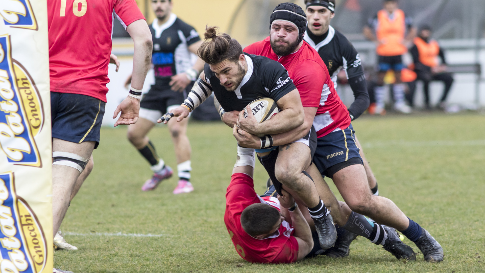 Domenica si torna a ruggire, capitan Bruno: "Puntiamo alla Top12"