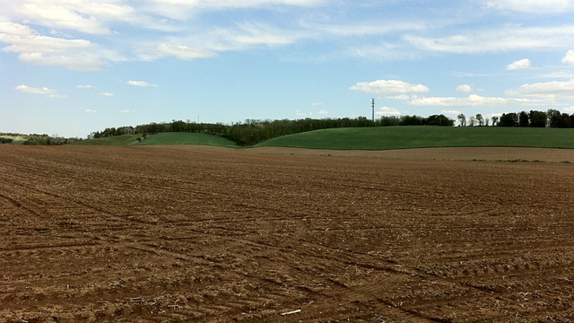 La Regione non finanzia "Adotta la Terra". Rabboni gela gli agricoltori