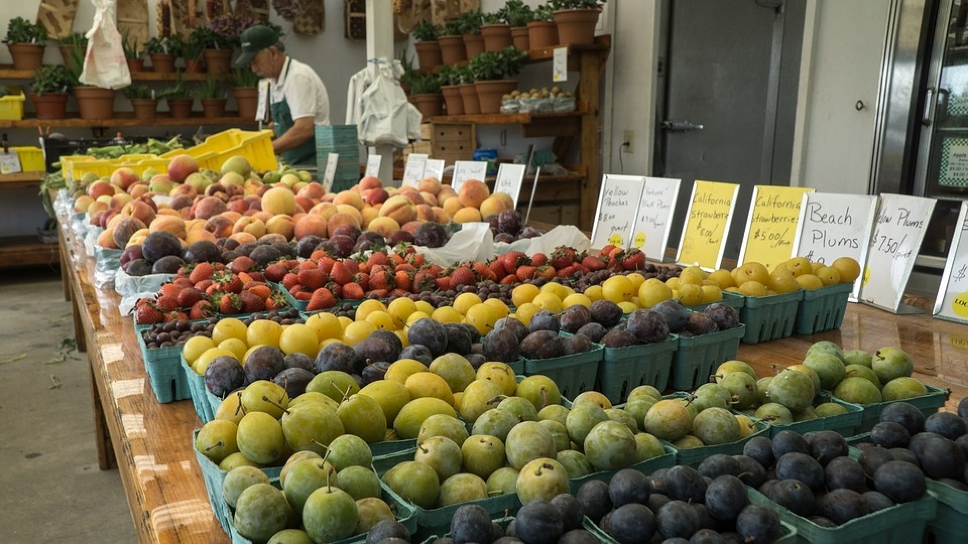 Dal 27 febbraio Borgotrebbia avrà il mercato. Mostra itinerante in centro