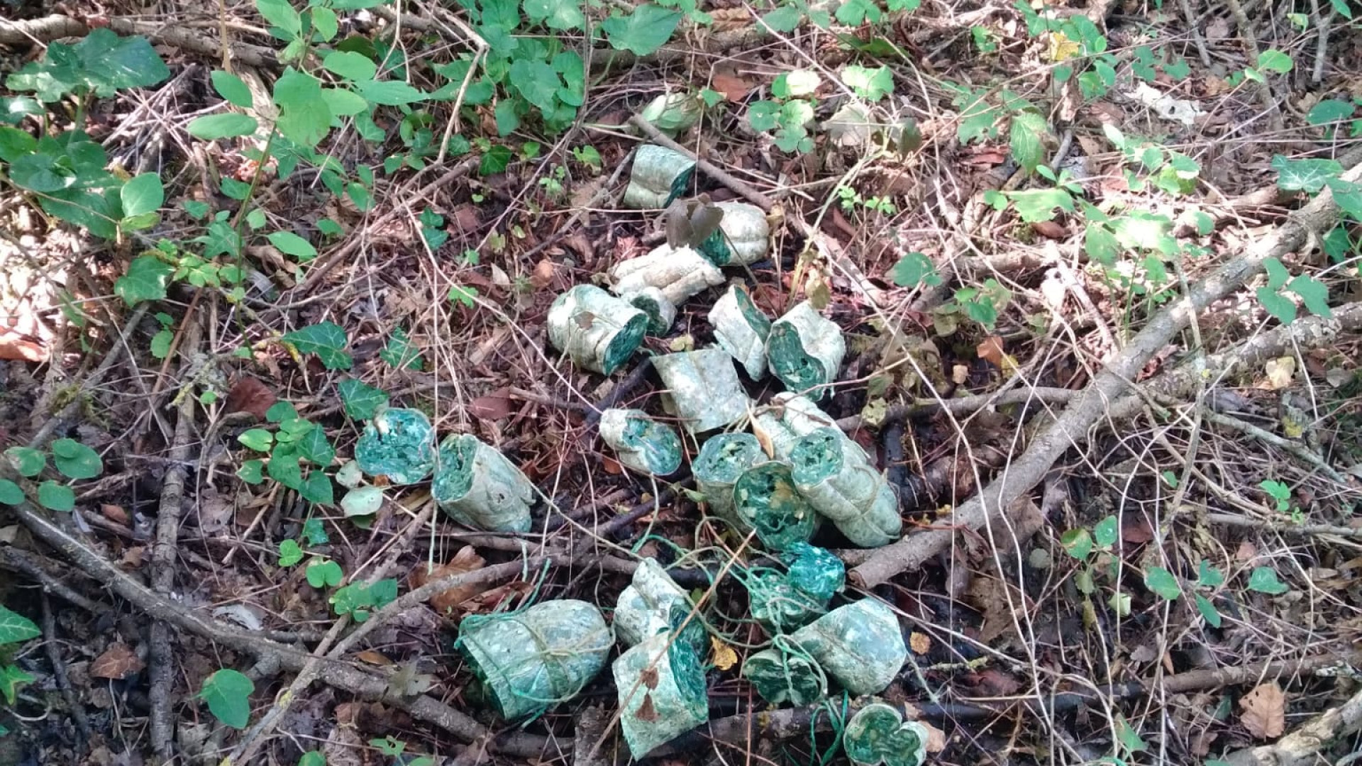 Prato Ottesola, a spasso con i cani trovano bocconi avvelenati. Indagini in corso