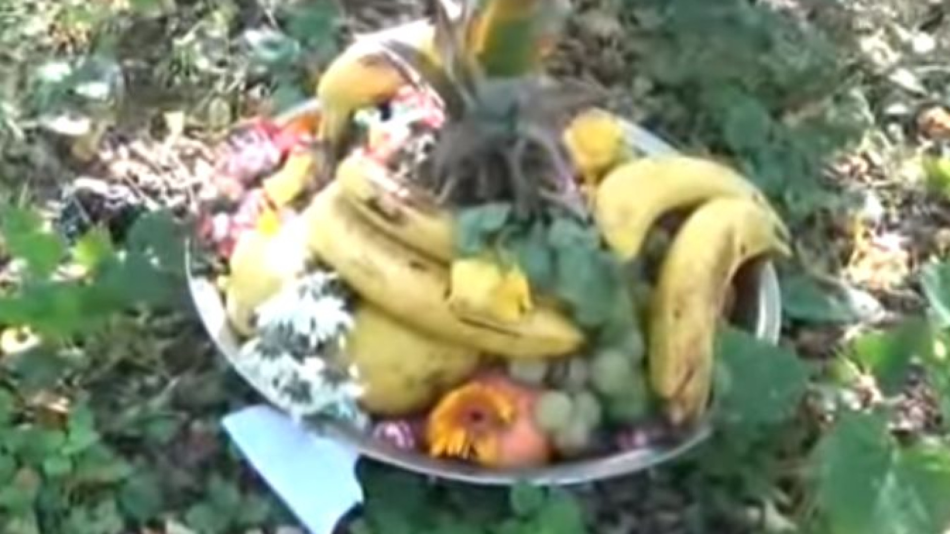 Cesto di frutta, fiori e candele. Misterioso ritrovamento