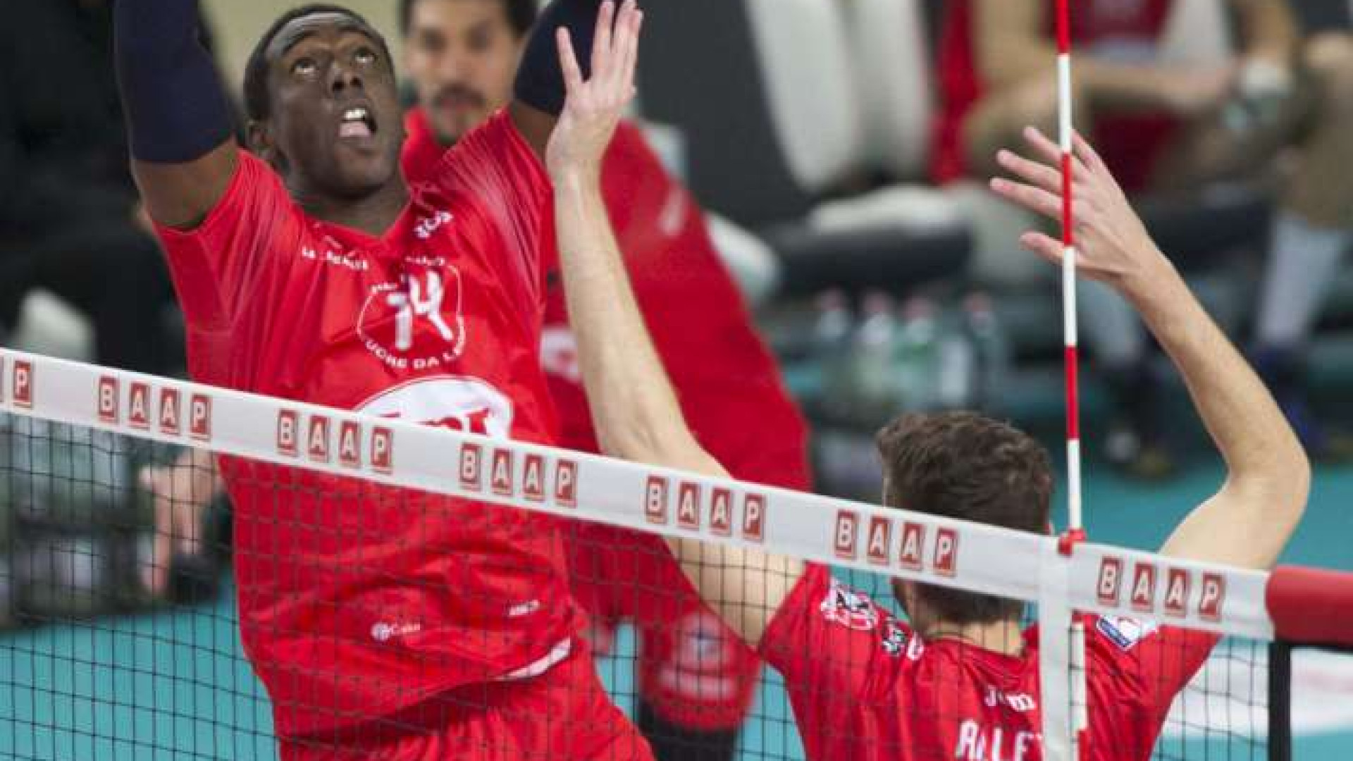 Lpr Volley, il 2017 parte bene: i biancorossi battono Innsbruck in coppa Cev