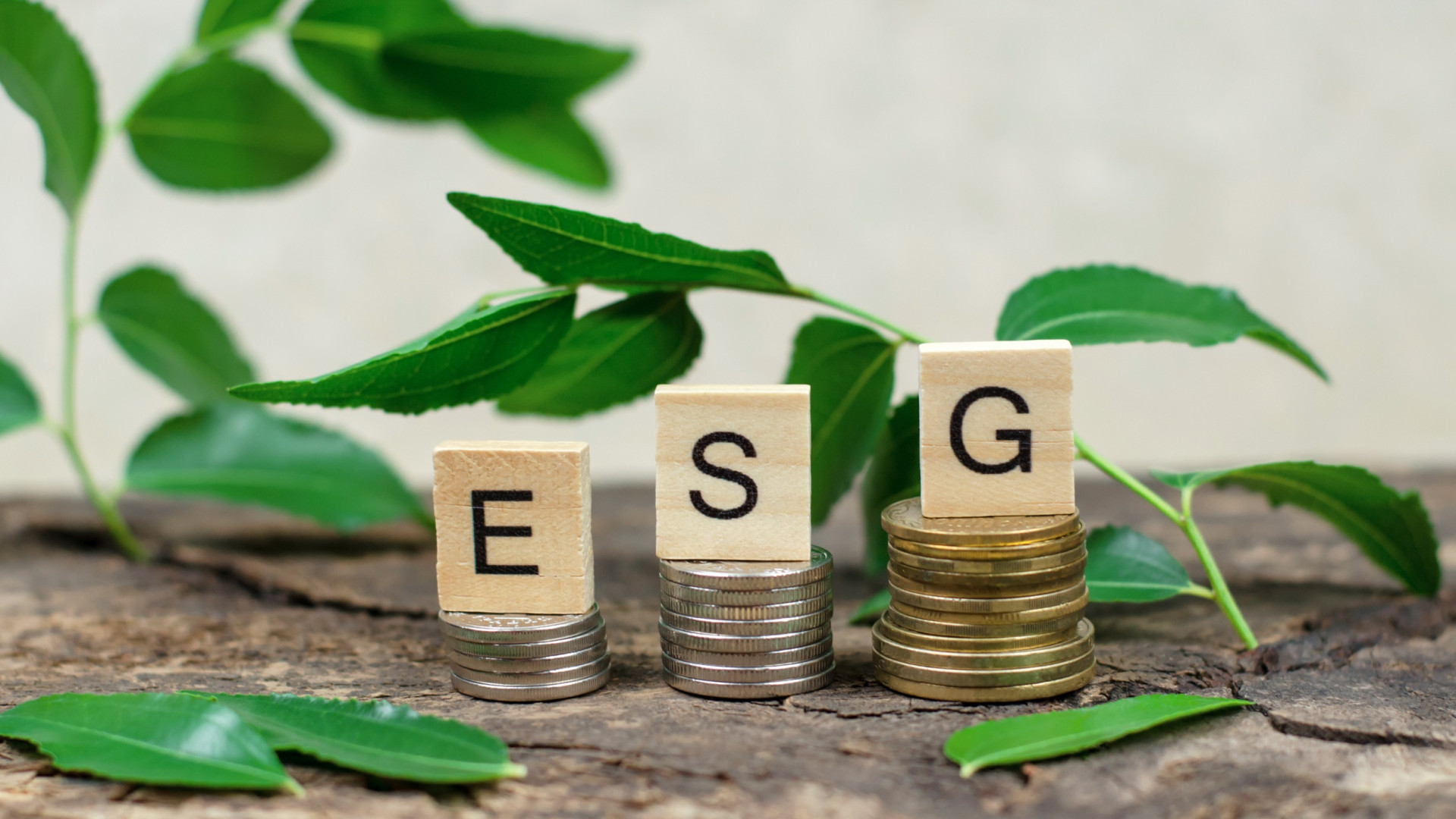 Le parole sostenibili. Tre lettere per cambiare il mondo: cosa sono gli Esg