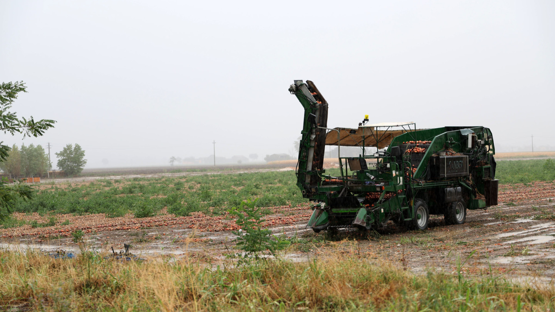 Maltempo, piattaforma della regione per la segnalazione dei danni all'agricoltura