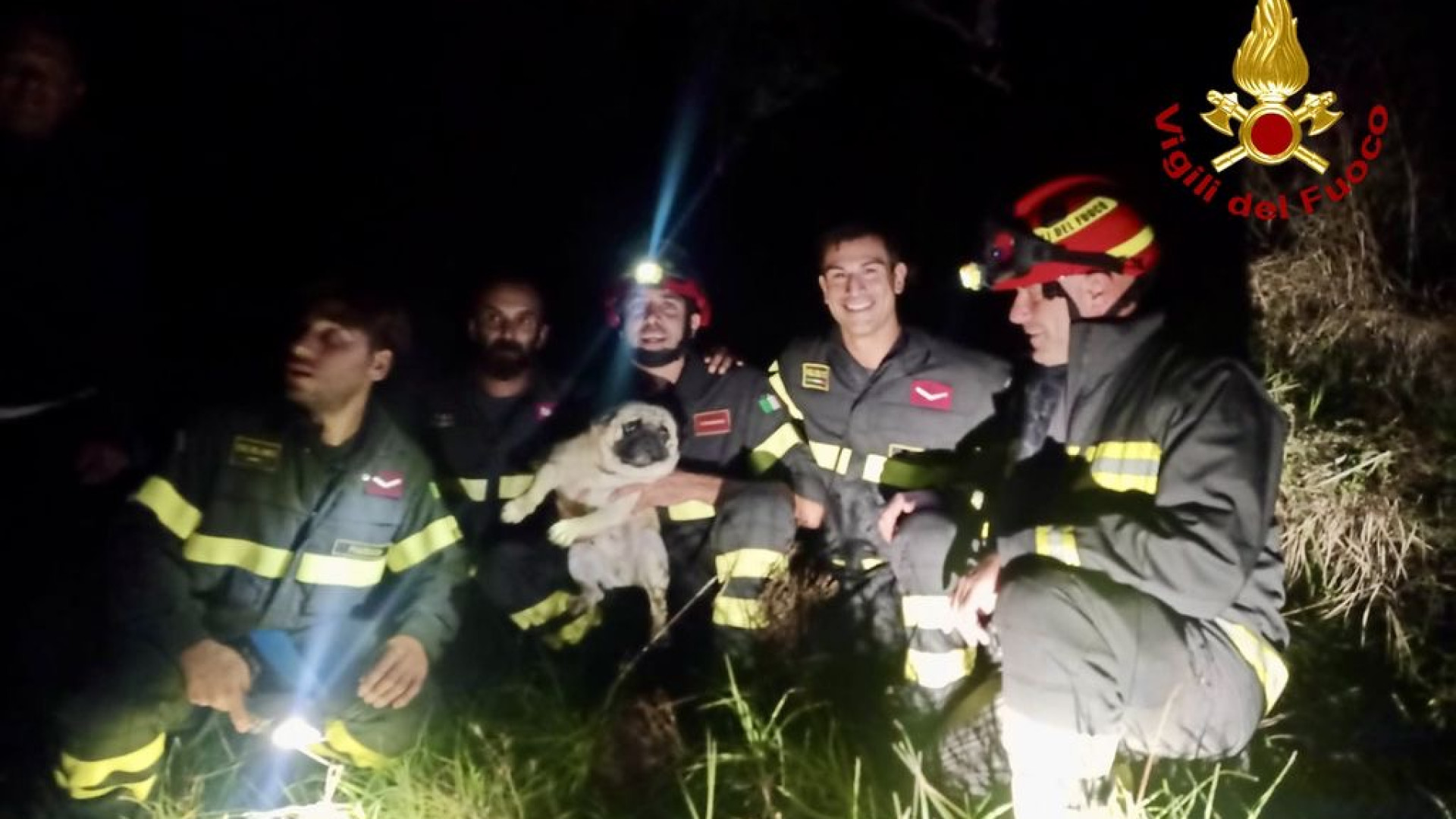 Cagnolino disperso nei boschi di Canneto di Coli e ritrovato dai vigili del fuoco