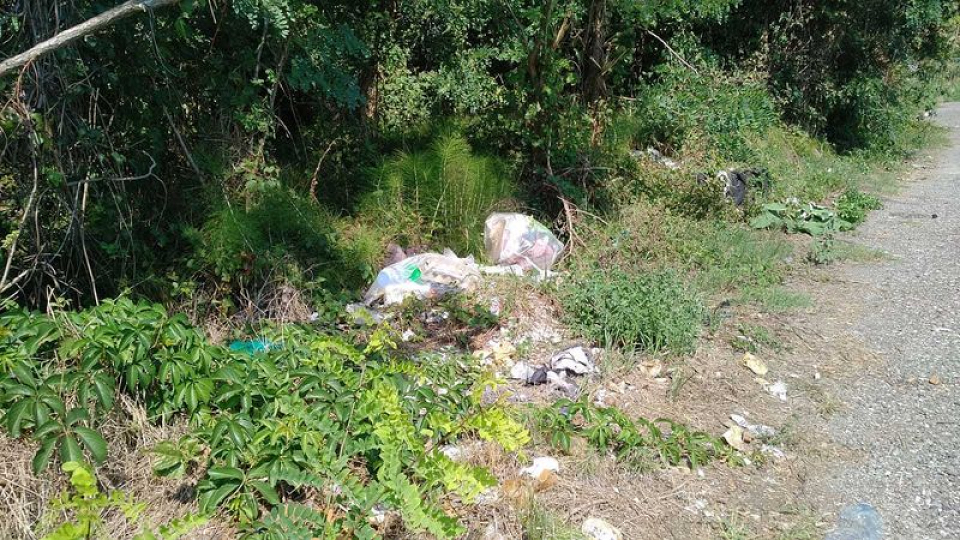"Discarica a cielo aperto a due passi dalla zona industriale"