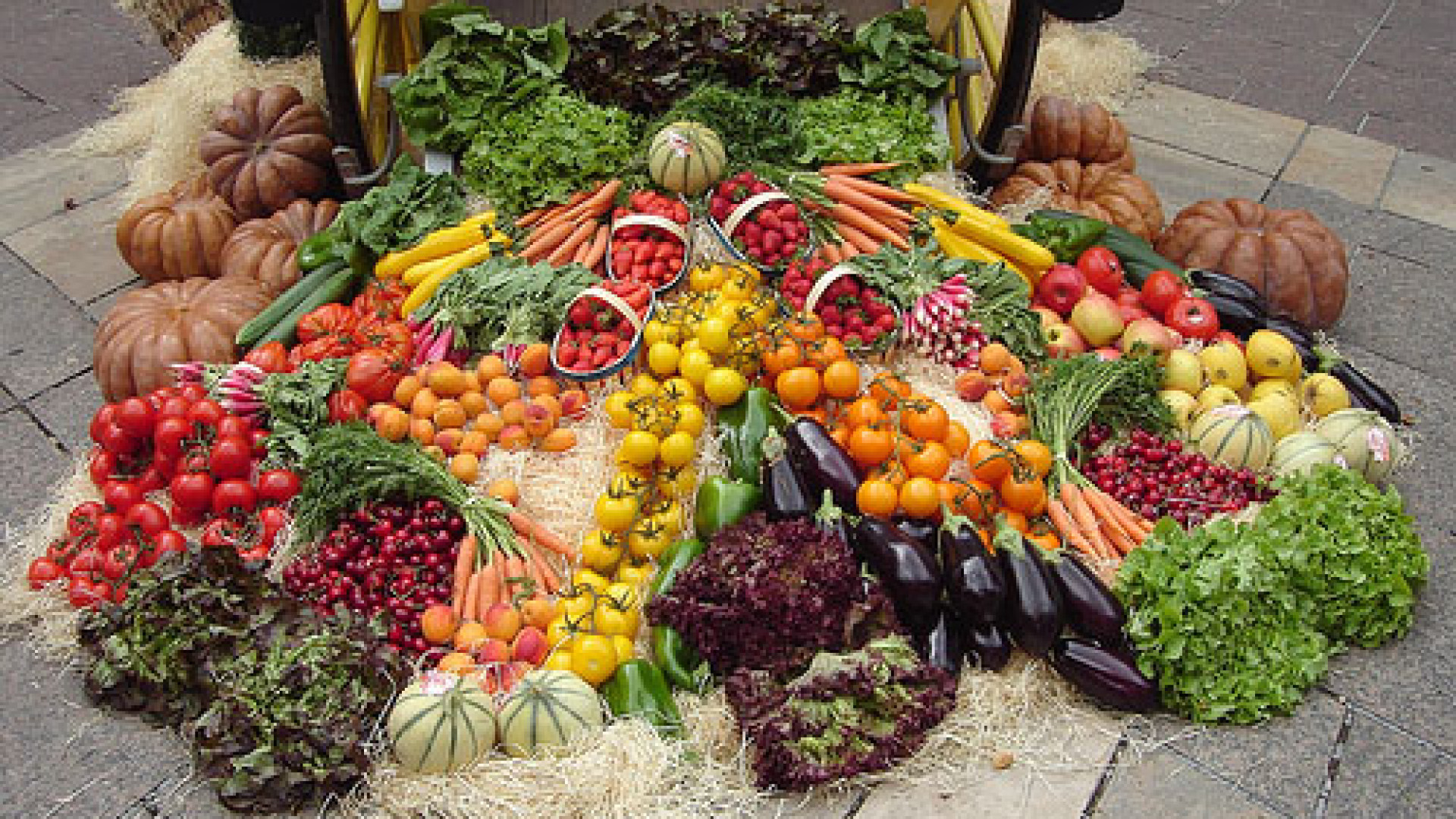 La provocazione del colosso chimico: "Contro la fame nel mondo fermare il biologico"