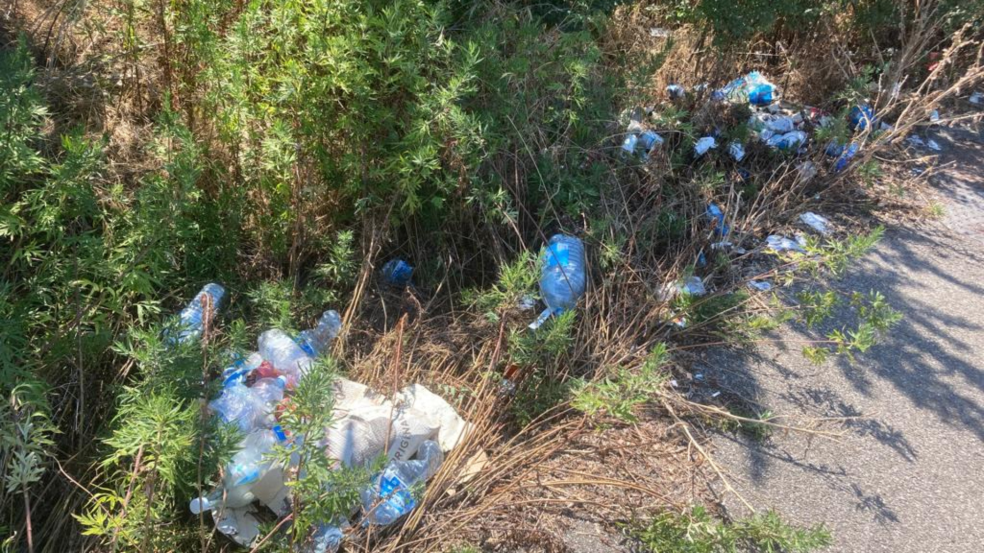 San Lazzaro, i residenti: "Degrado e discarica a cielo aperto in via Stradiotti"