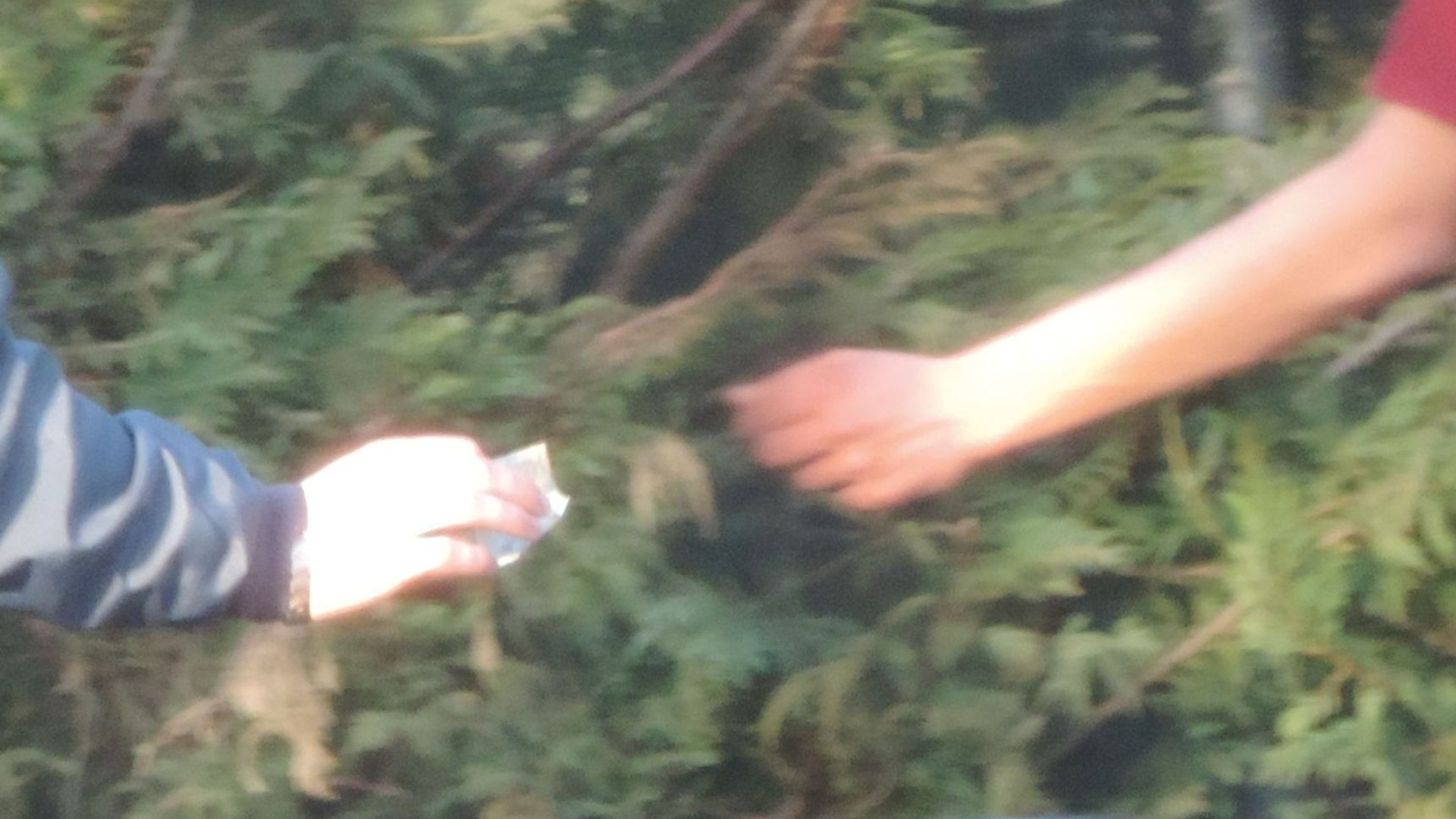 Droga e coltello ai giardini pubblici di via Gambara, denunciati due giovani