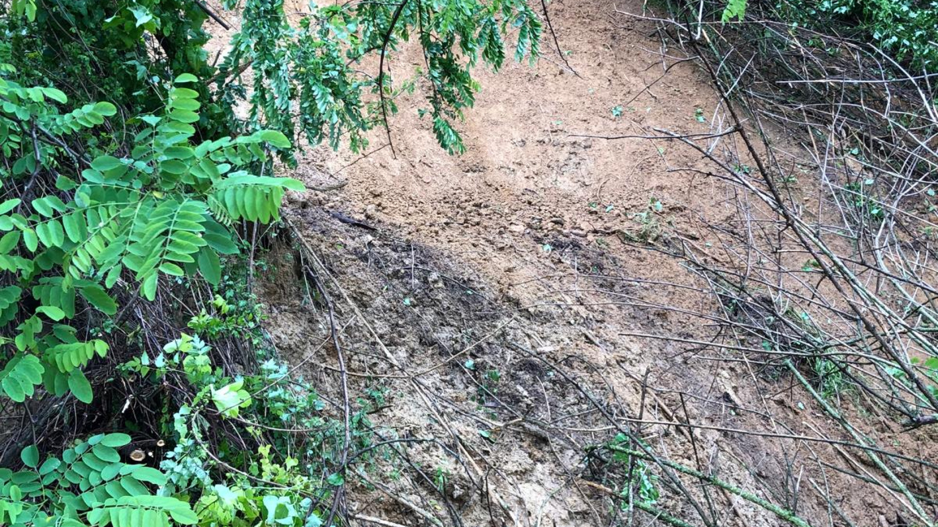 Carpaneto, due frane sulle strade a causa delle piogge: 50mila euro dalla Regione
