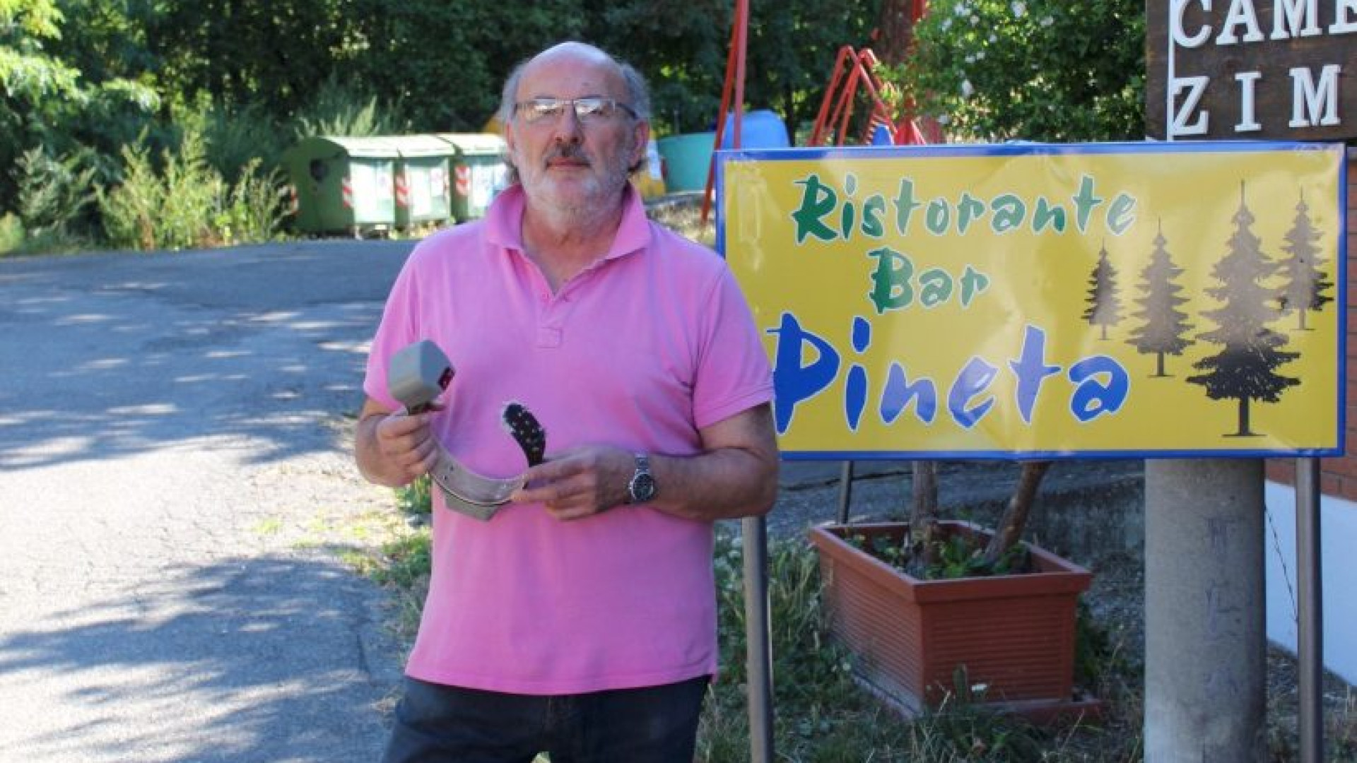 Ritrovato il radiocollare di lupo Ventasso. "Ci auguriamo sia ancora vivo e nel branco"