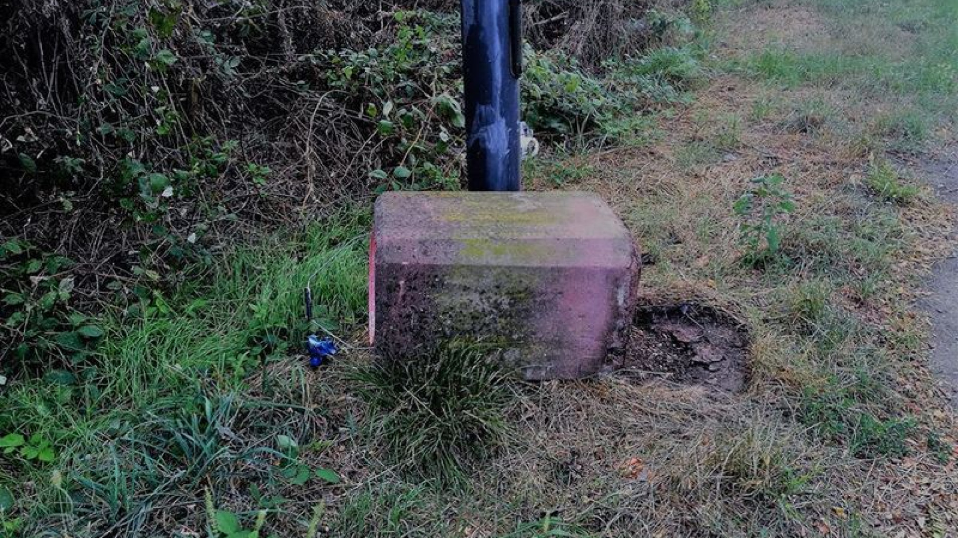 Vandali a Borgotrebbia, cassonetto buttato dalla scarpata