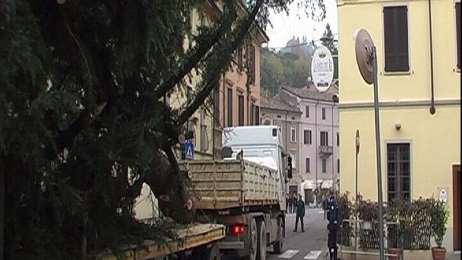 Rivergaro: ecco l’albero