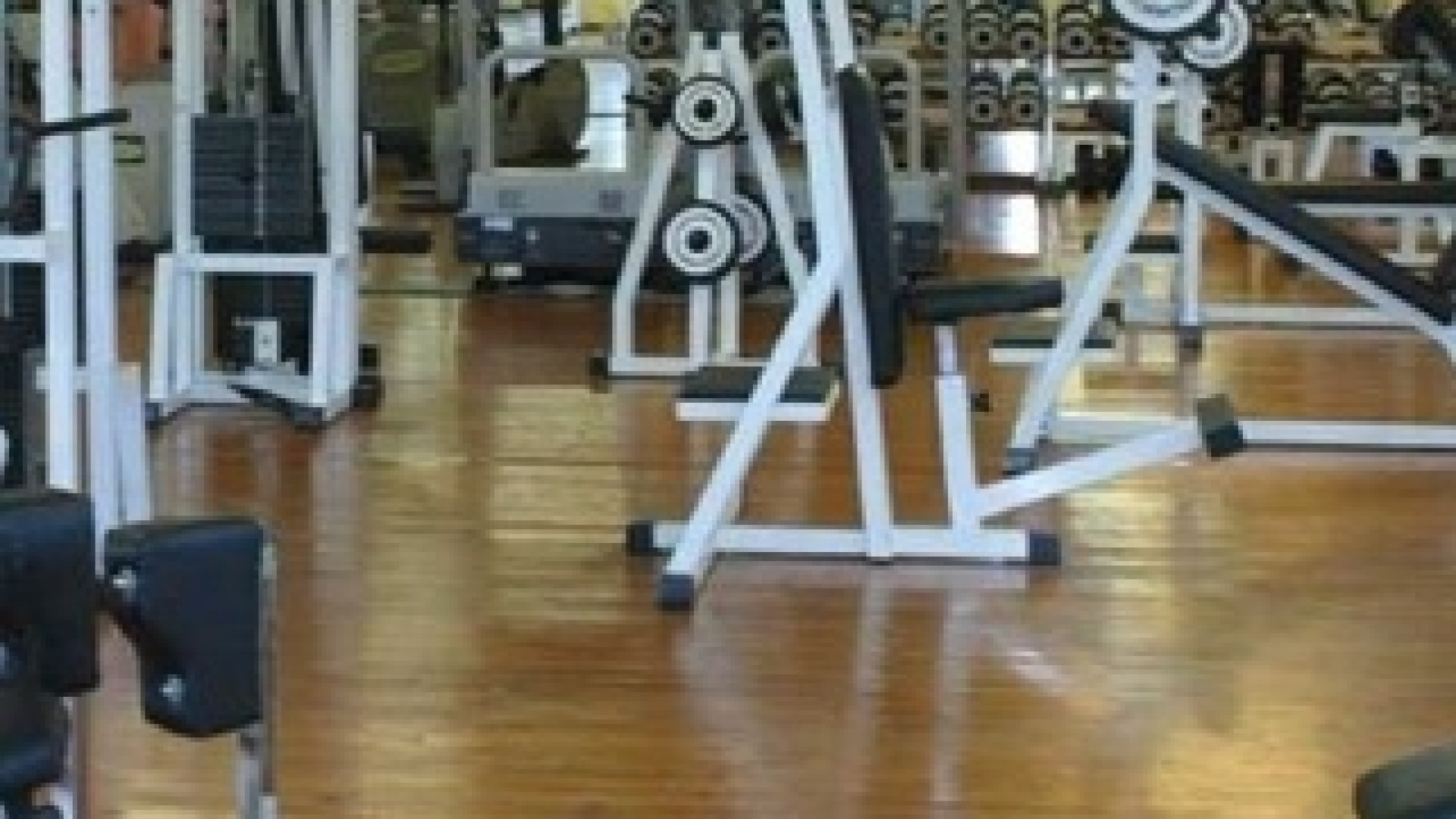 Dal garage dell'ex assessore spariscono attrezzi da palestra per 300mila euro