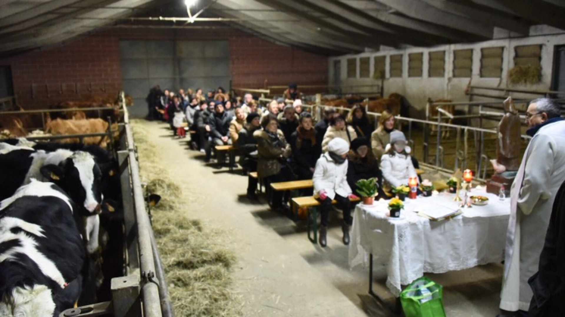 Borgotrebbia, per Sant'Antonio messa nella stalla e benedizione degli animali