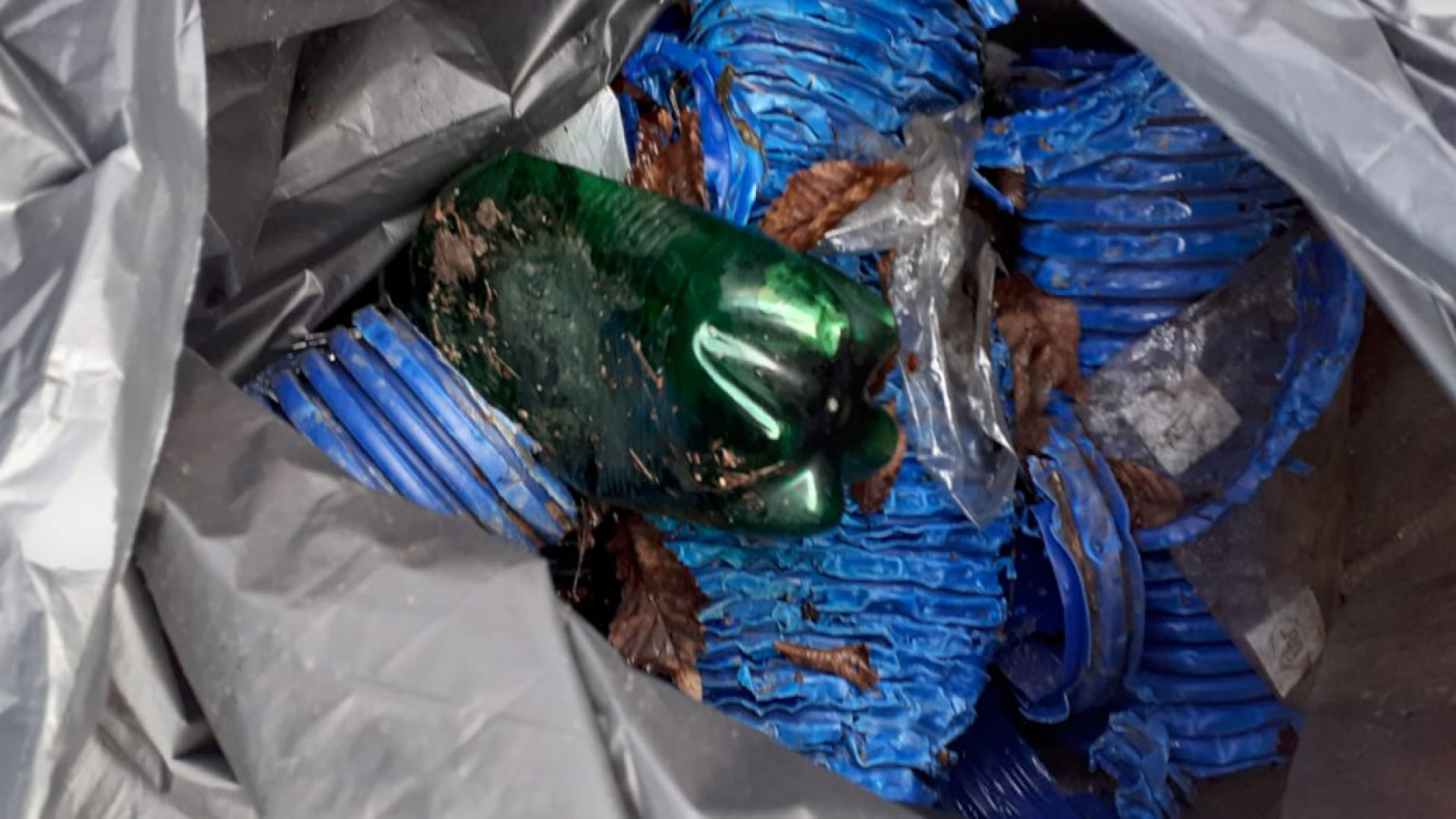 Degrado nelle aree verdi della Veggioletta, i residenti: "Raccogliamo noi i rifiuti"