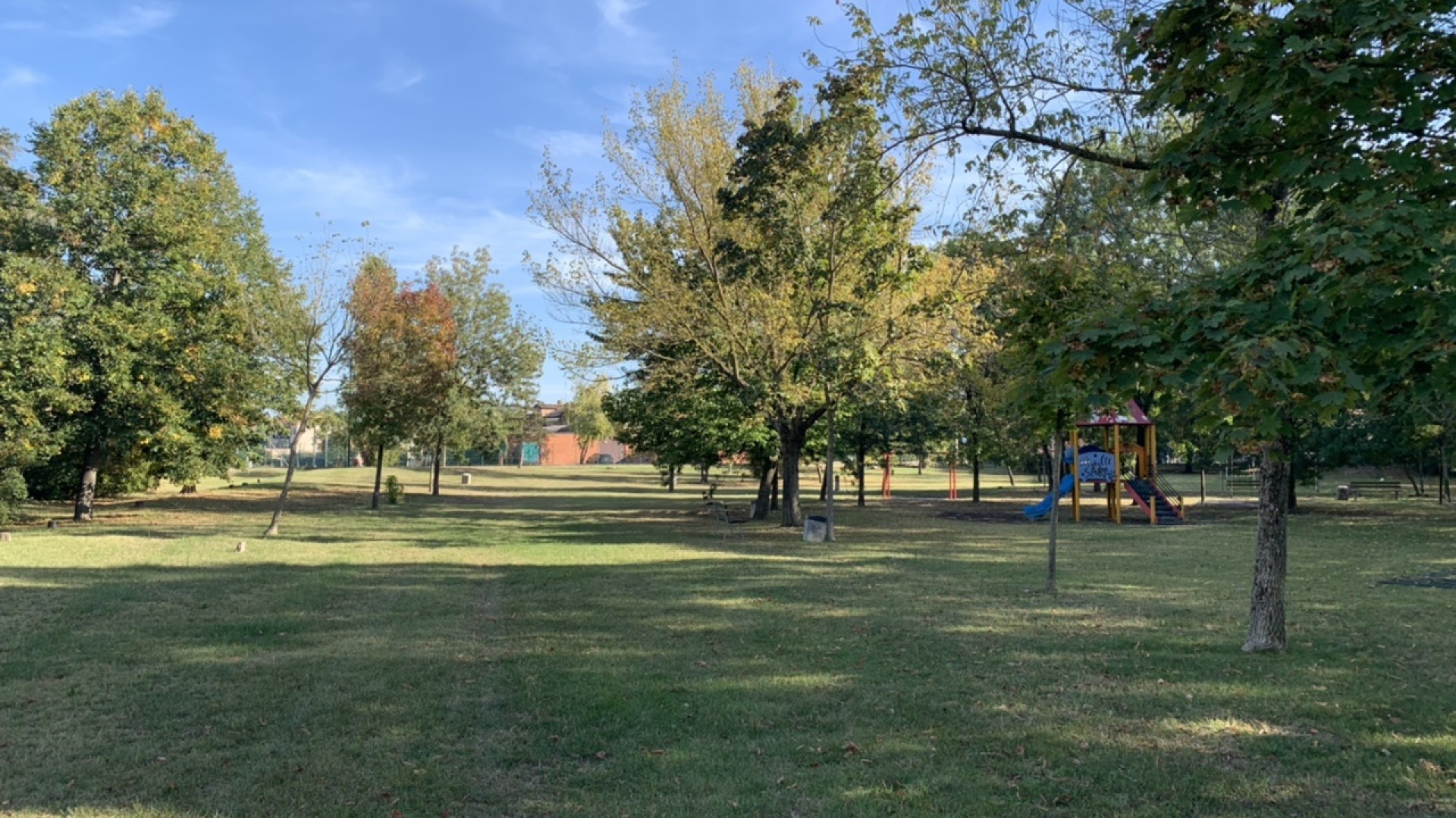 Sostenibilità e digitale: contributi a tre idee piacentine per l'era post-Covid