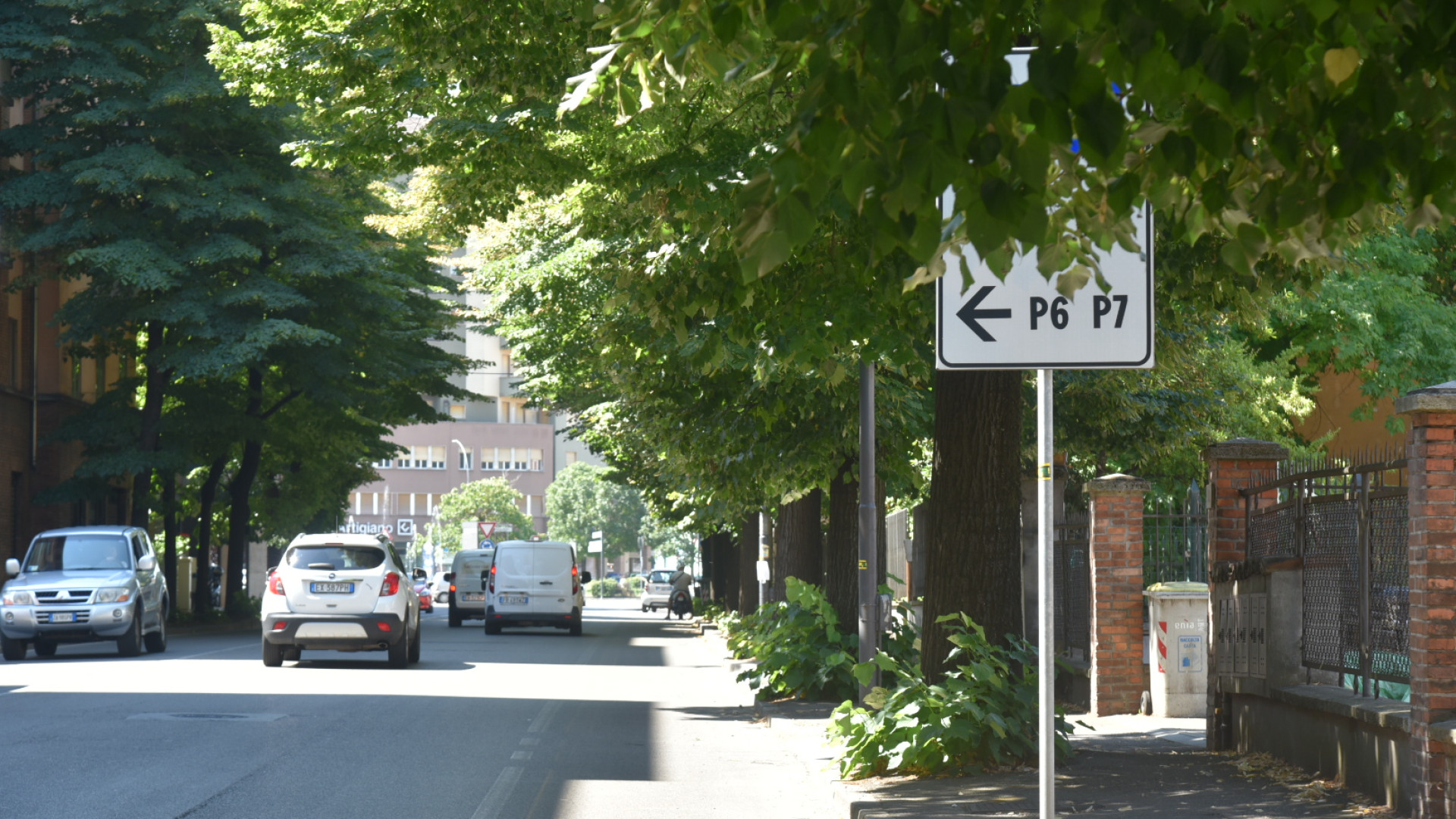 Una "giungla" di vegetazione nasconde la segnaletica stradale