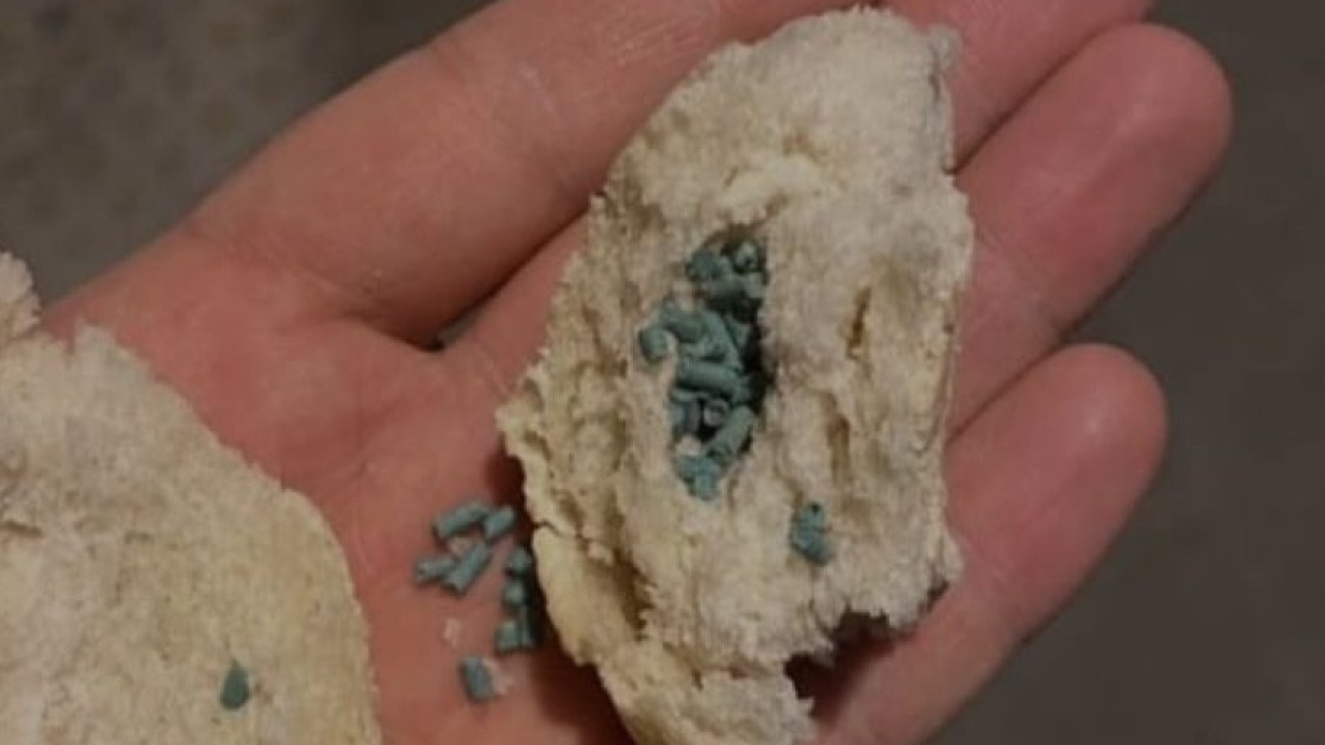 Gettate due esche imbottite di veleno nel cortile di una casa a San Giorgio