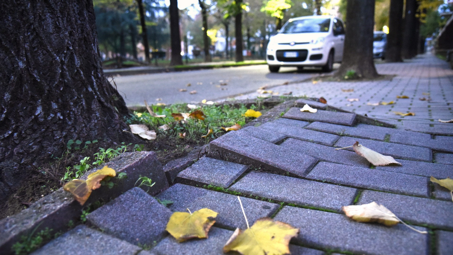 Marciapiede dissestato, donna cade e si spacca naso e denti: chiederà risarcimento