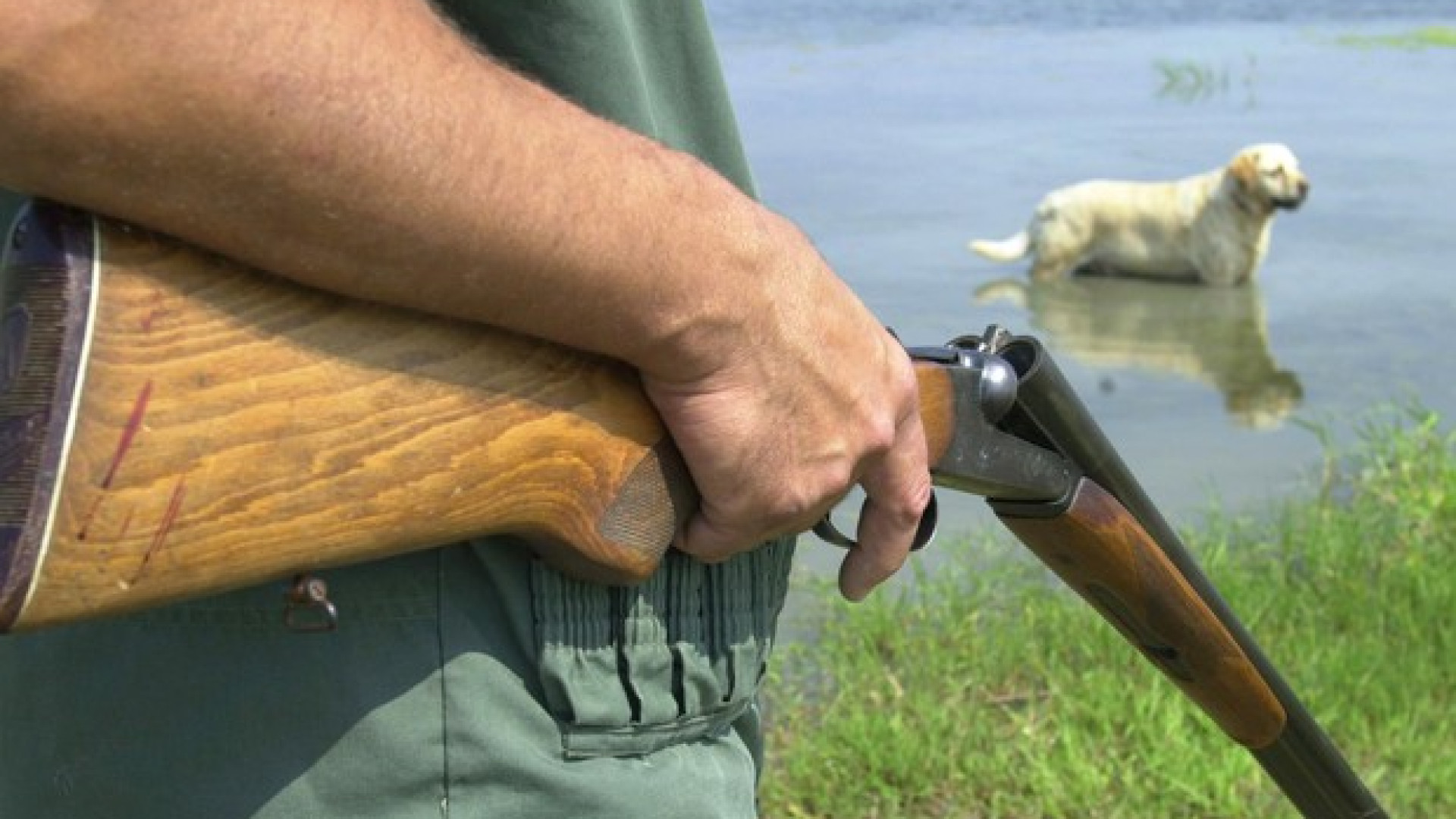 Caccia di selezione, la Regione dà il via libera anche in zona arancione e rossa