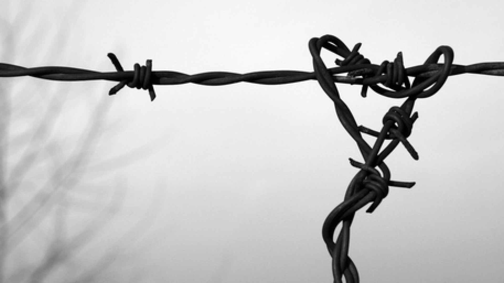 Giorno della Memoria, dalla prefettura quattro medaglie ai deportati piacentini