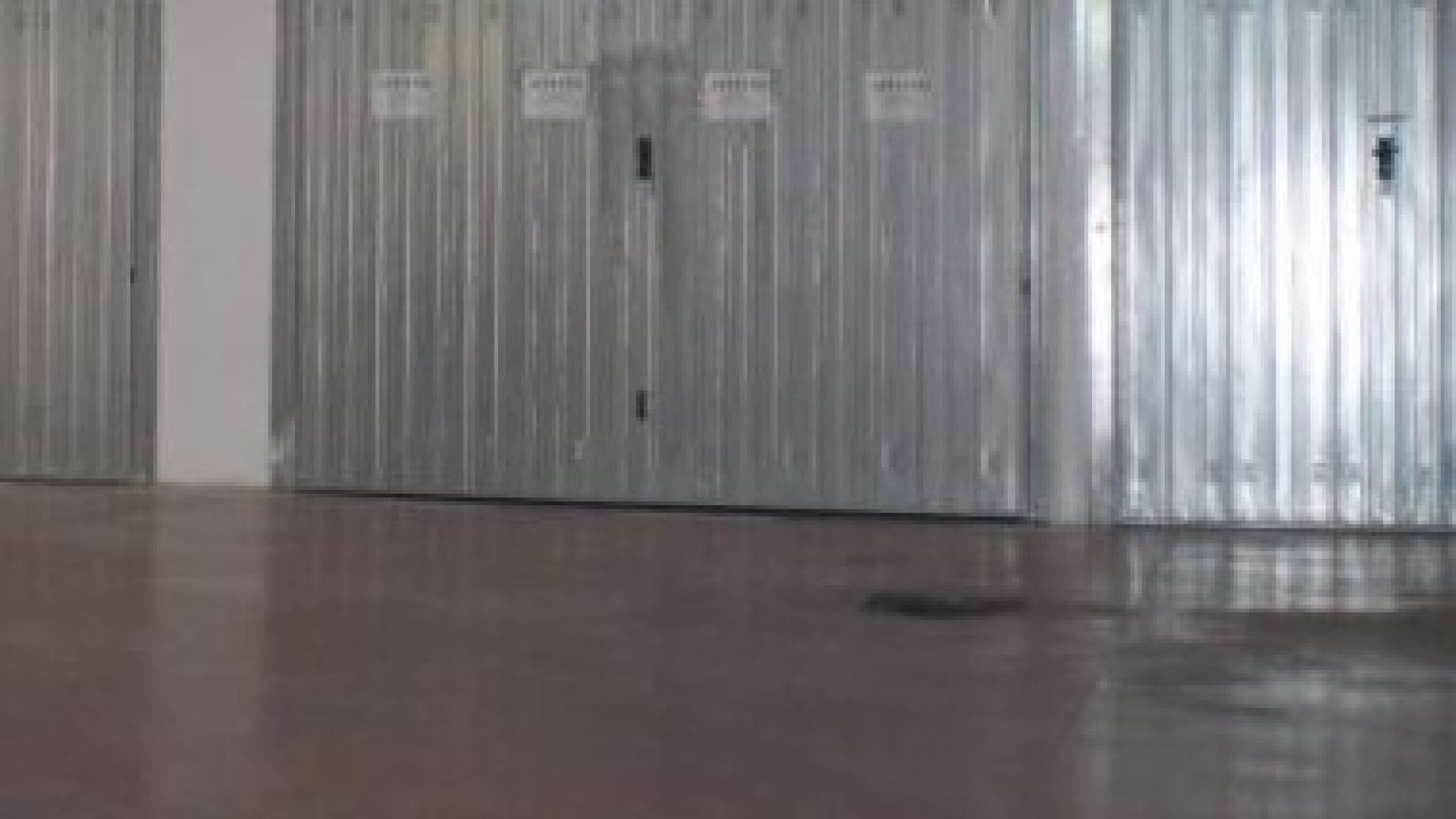 Via Puccini, forzati quattro garage. Sparisce una bicicletta