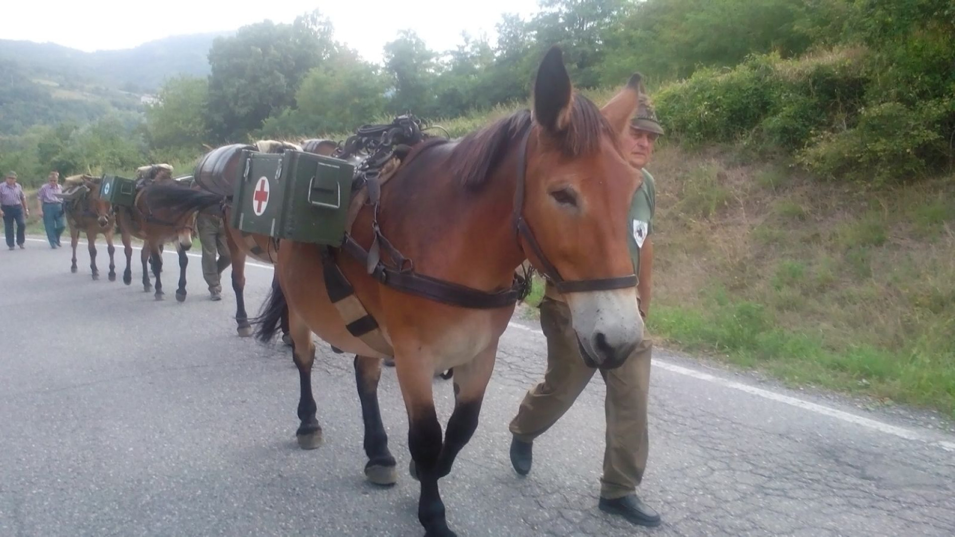 Mezzano Scotti, arrivano i muli alpini: al via la Festa Granda di Bobbio. FOTO