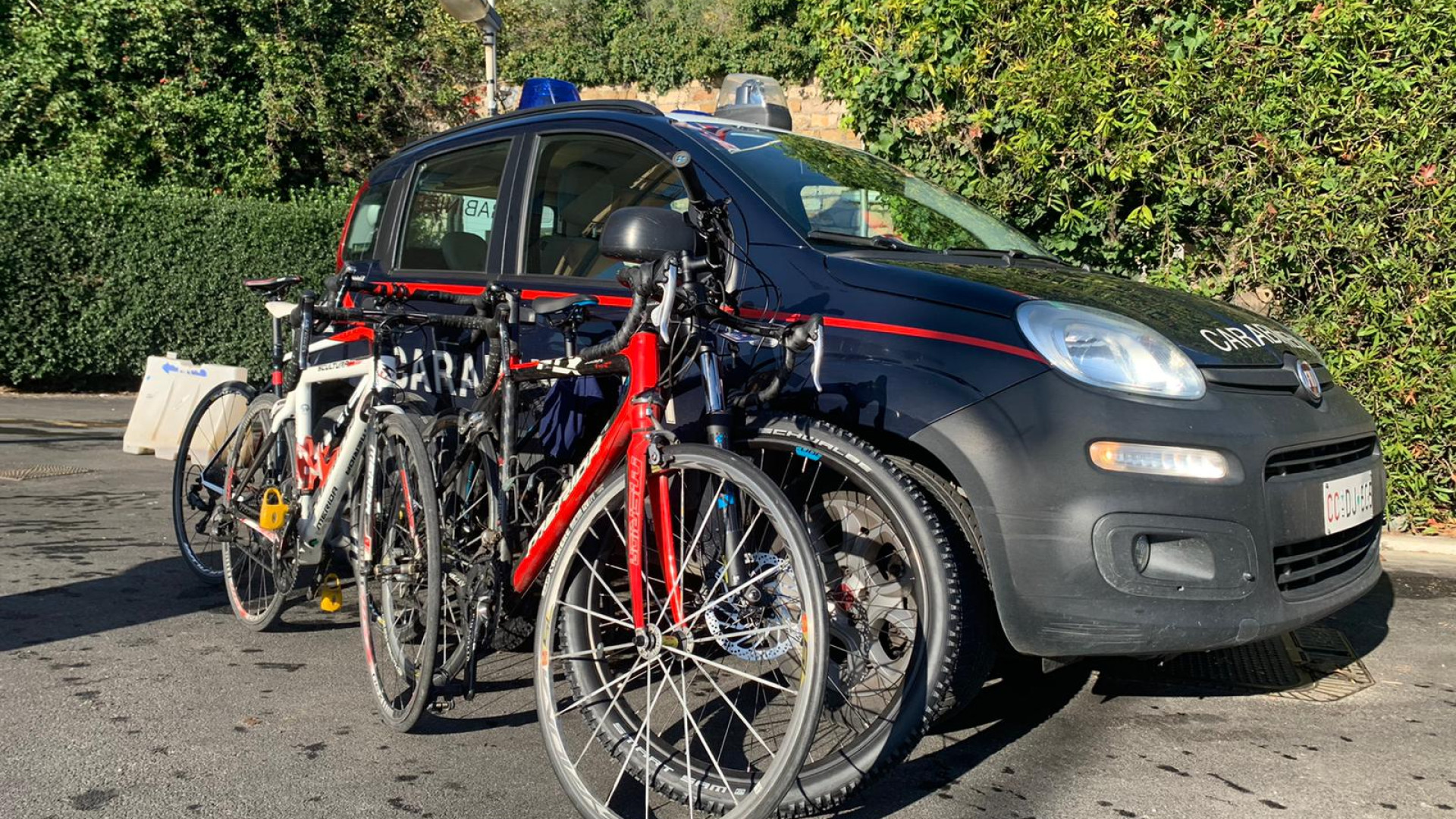 Alle gare vestiti da ciclisti per rubare bici costose: denunciati 4 piacentini