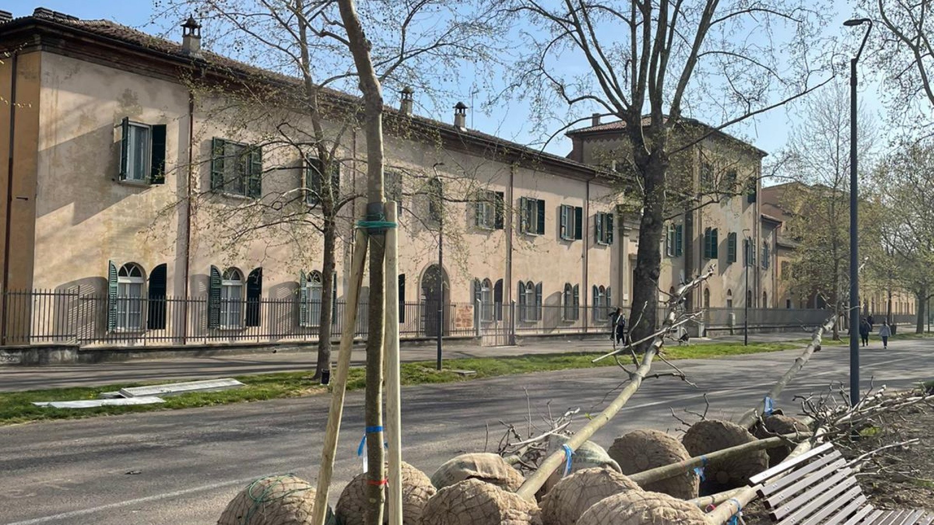 Piantati 14 nuovi platani sul Pubblico Passeggio. Lavori a marciapiedi e panchine