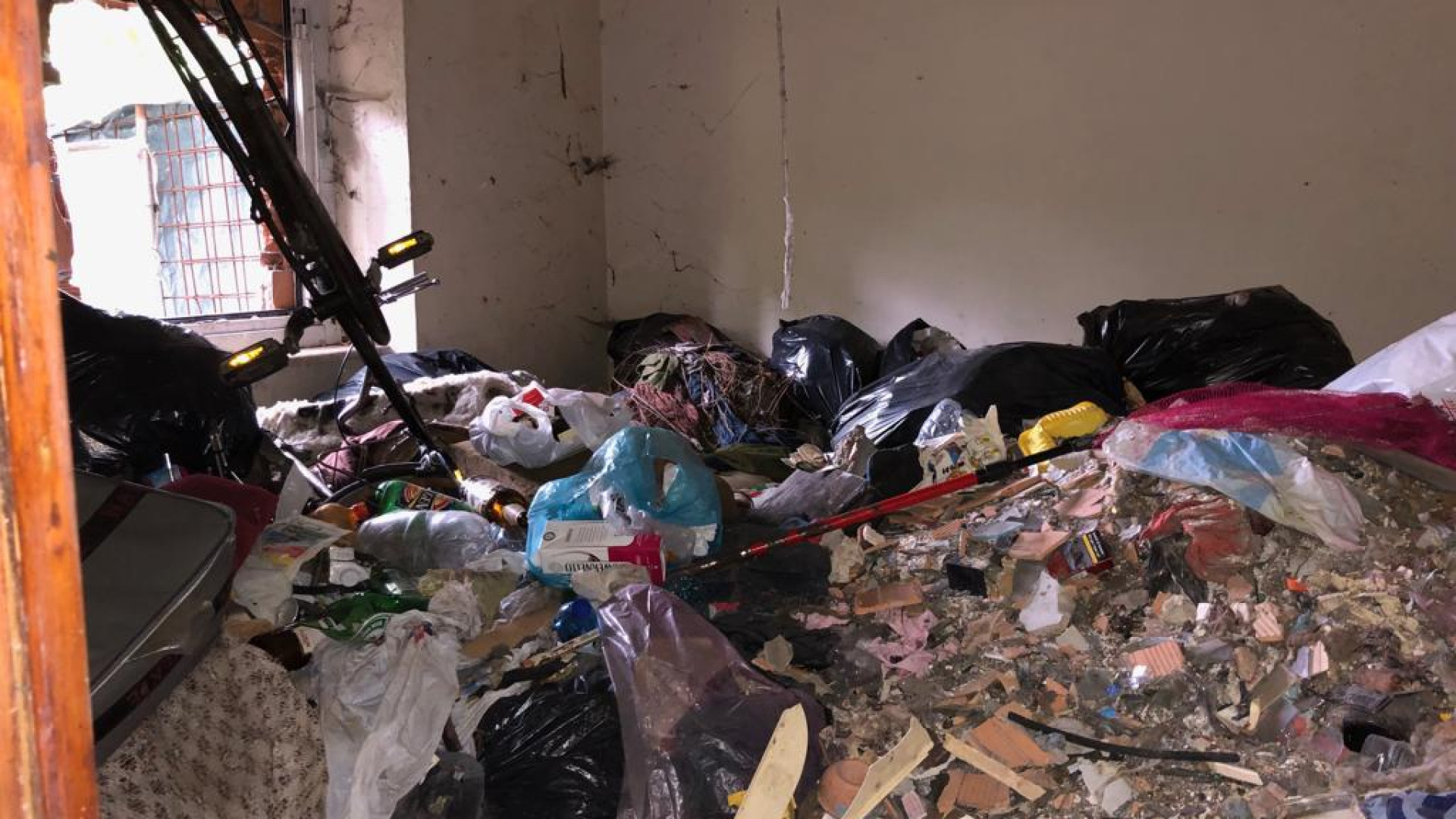 Cani abbandonati in una palazzina, intervengono le forze dell'ordine