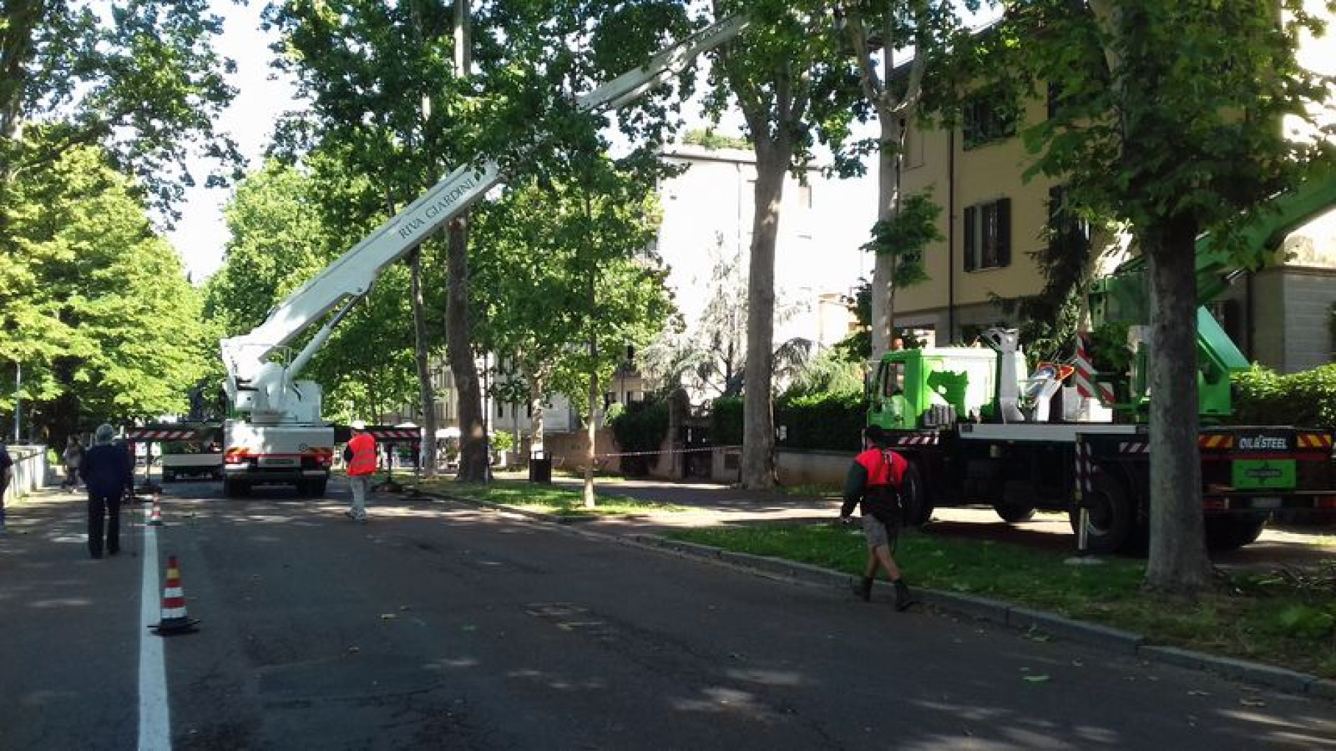 Sul Facsal potatura degli alberi. Interventi anche in altre zone
