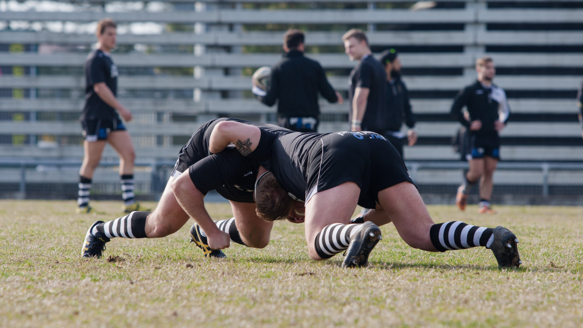 Le Fiamme Oro espugnano il Beltrametti. Sitav Lyons sconfitti 29-16