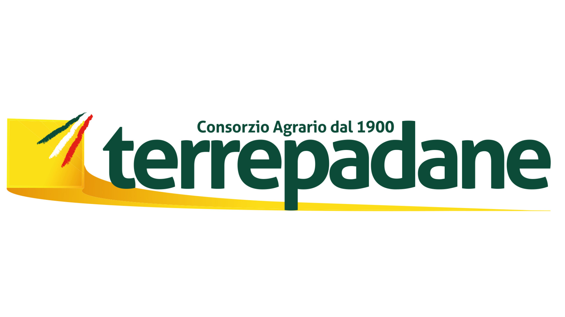 "Il nostro futuro è a rischio". L'appello dei lavoratori del consorzio Terrepadane