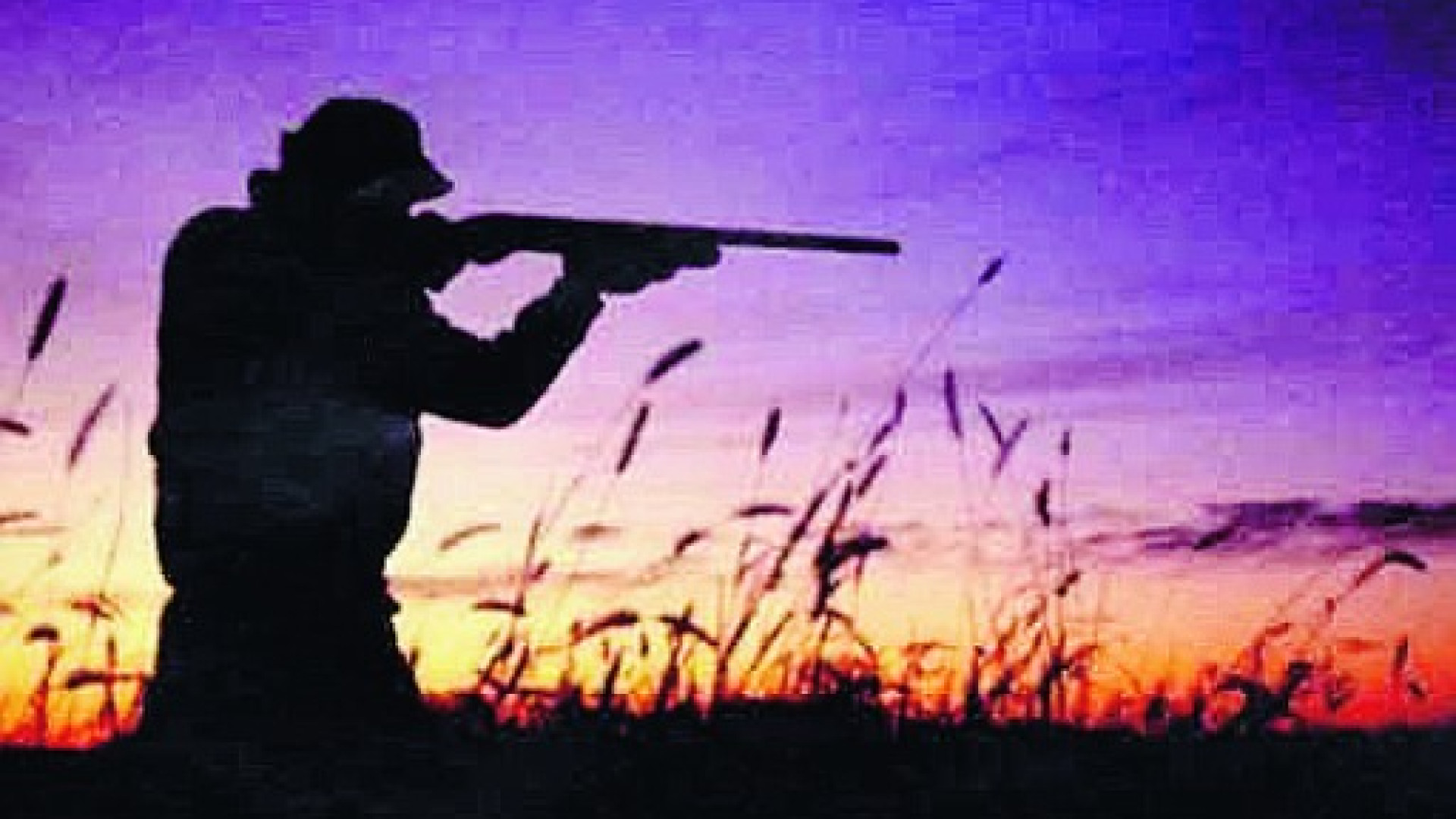 Emergenza lupi, i cacciatori: "Non spariamo a piacimento"