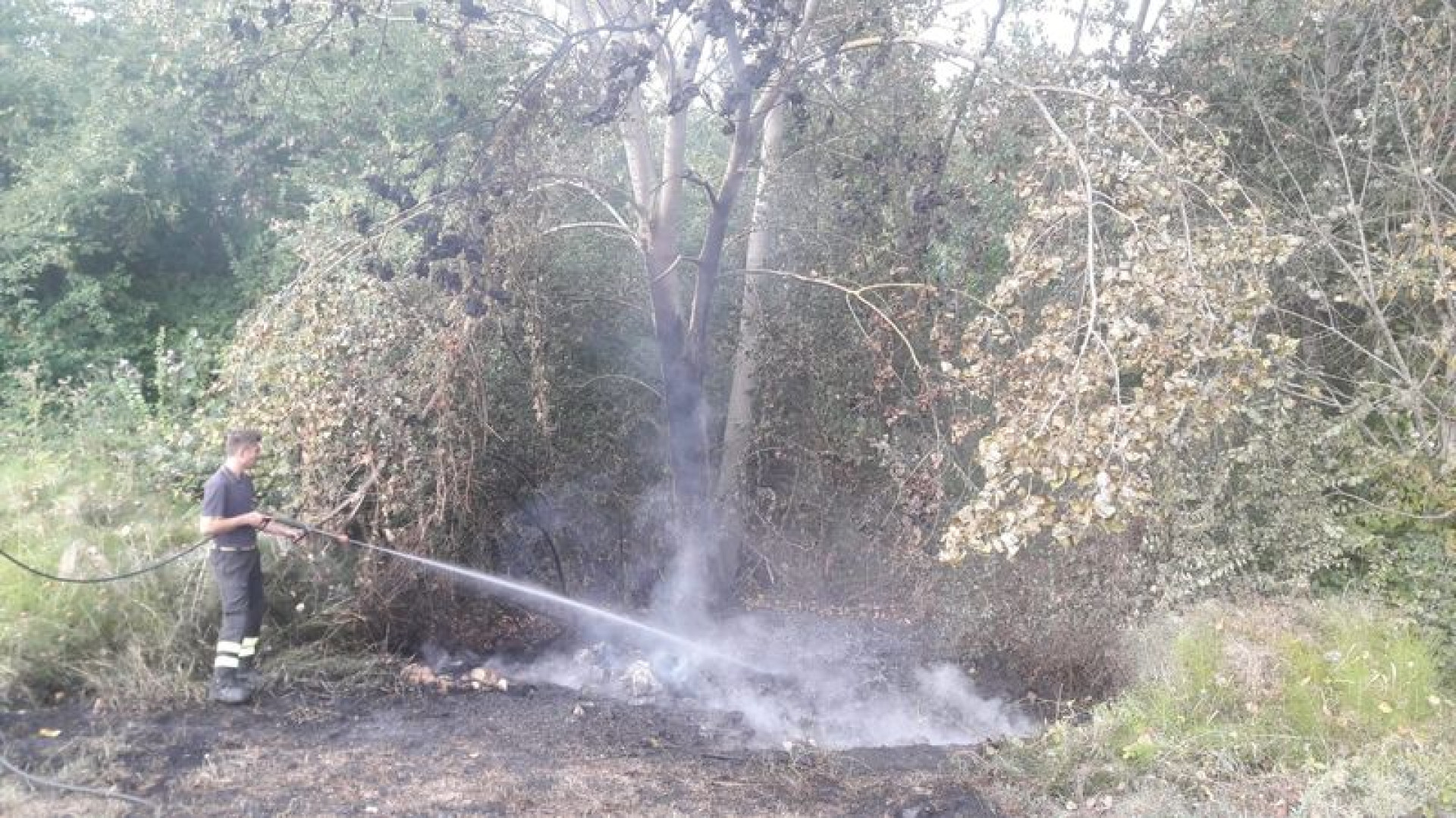L'incendio in un bosco rivela la discarica abusiva di pneumatici bruciati