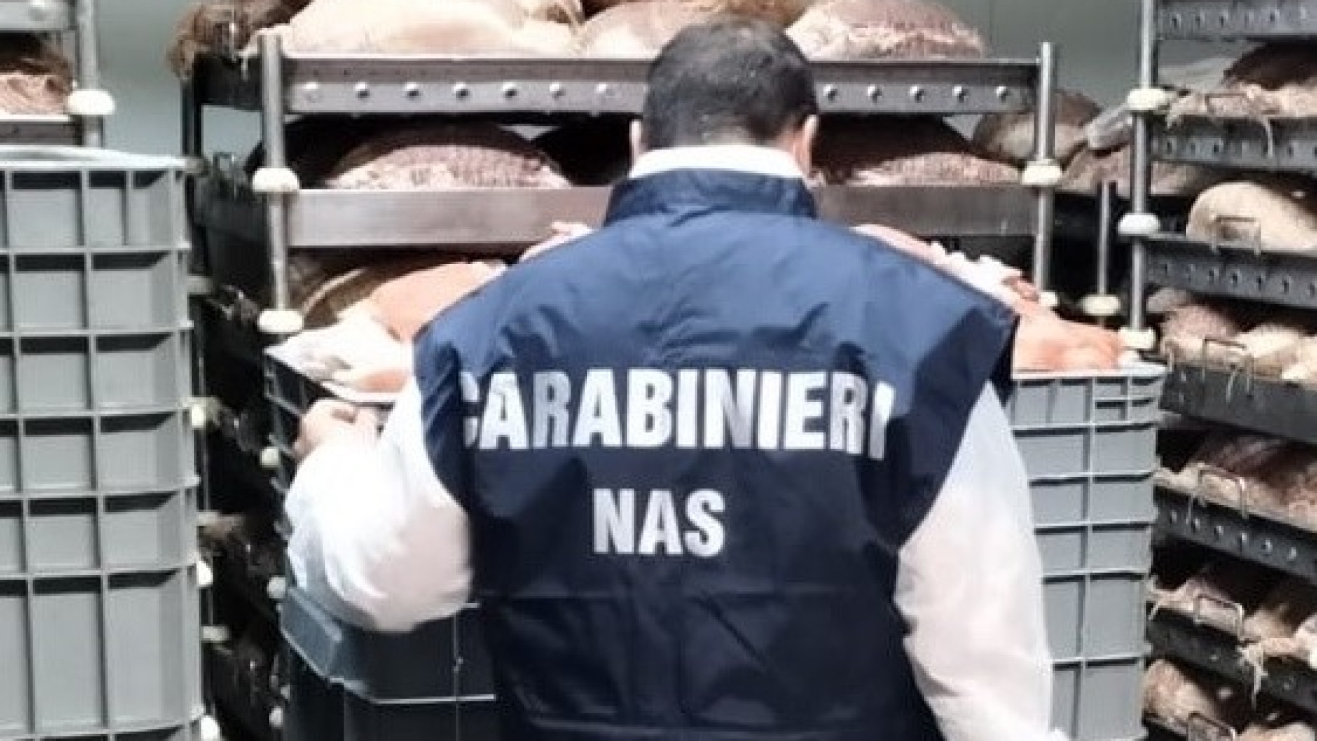 Cibi scaduti o privi di etichetta: maxi sequestro dei Nas in un ristorante-pizzeria