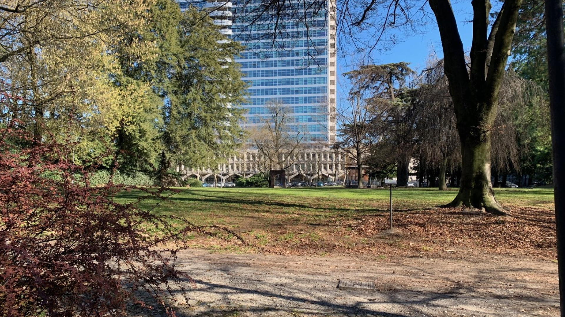 L'assessore: "Area giochi ai giardini Margherita". Riapre il cancello in via Alberoni