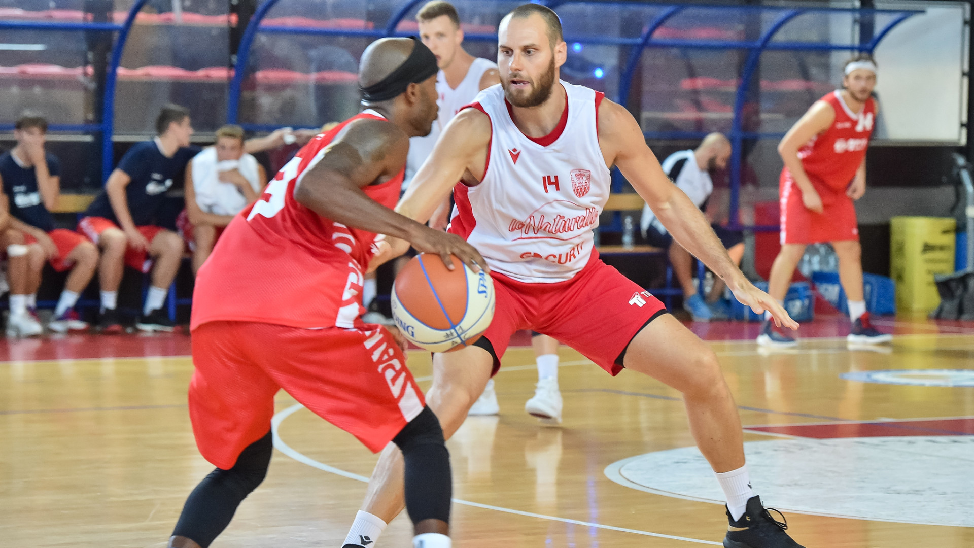 Esordio in Supercoppa amaro per l'Assigeco Piacenza: sconfitta in casa di Imola