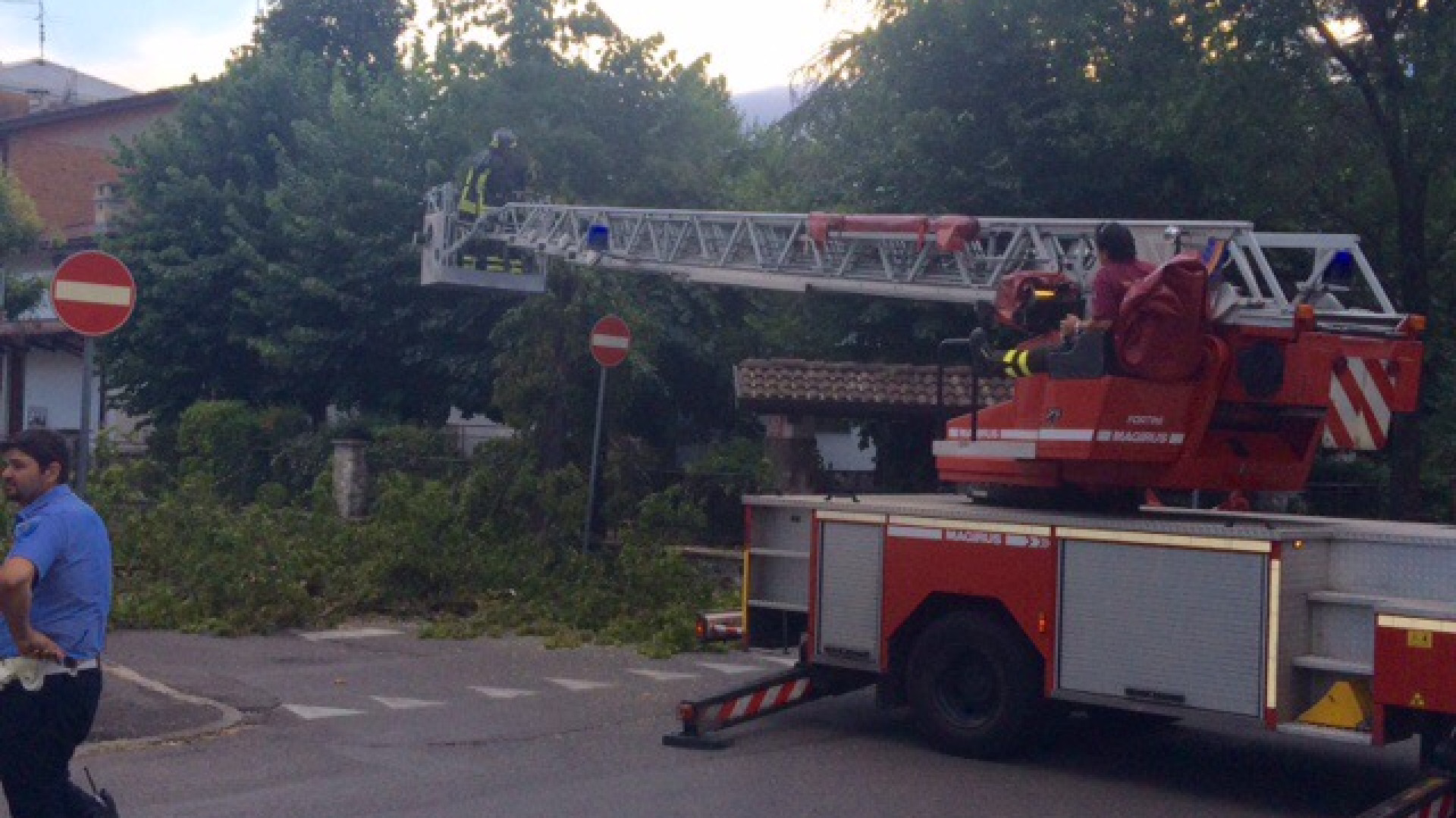 Vento impetuoso, alberi pericolanti in via Mercati: intervengono i vigili del fuoco