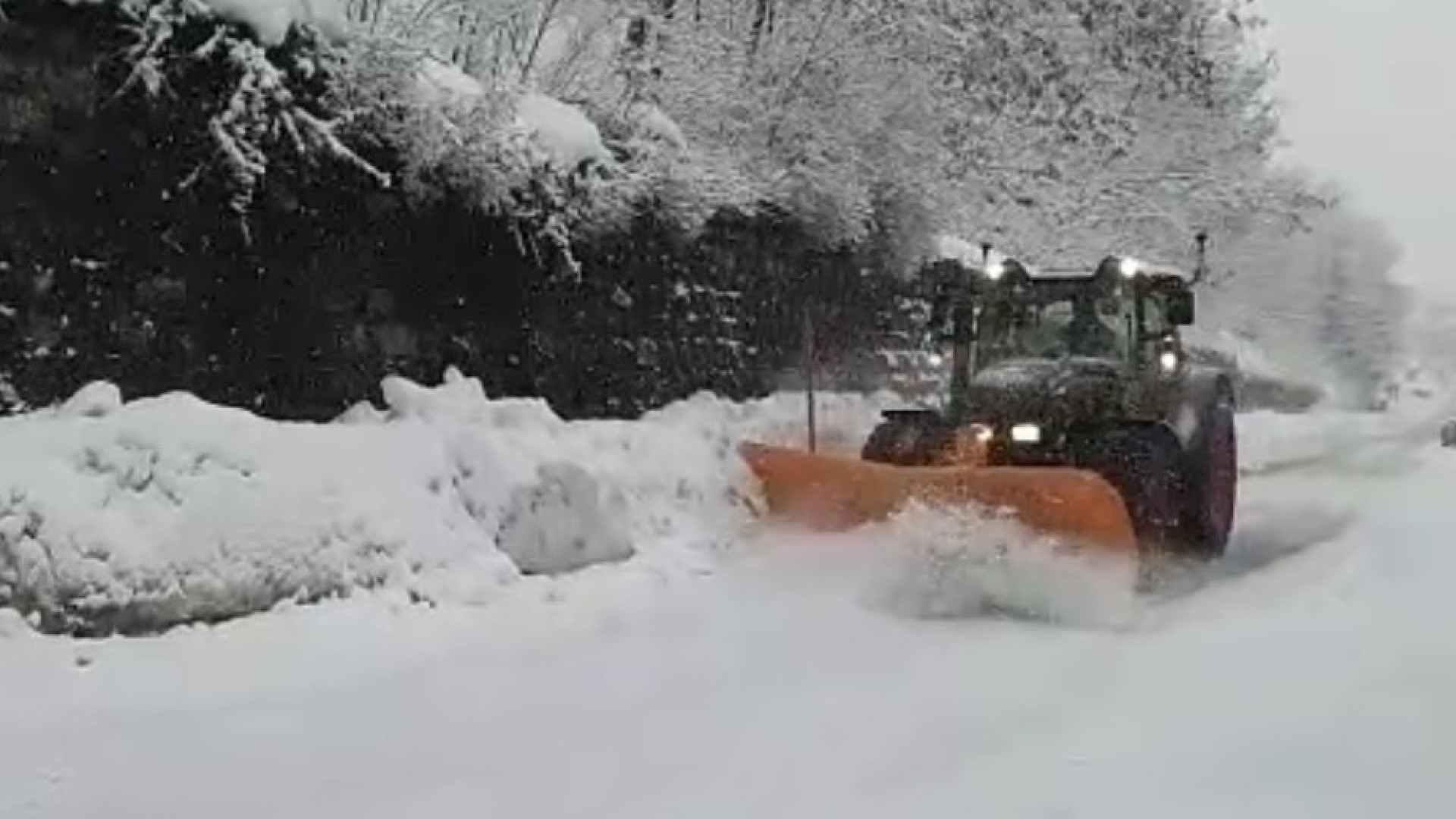 Abbondante nevicata in collina. Allerta meteo: "Uscire solo per necessità"